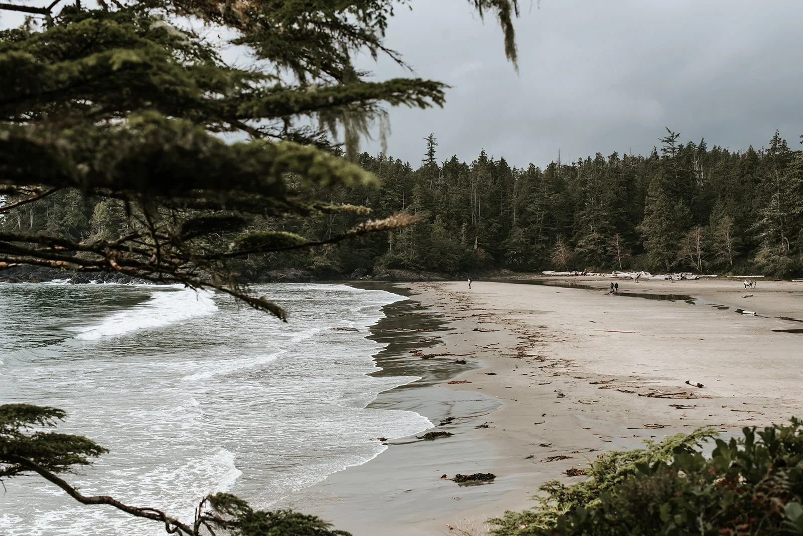 Copyright Darby Magill-1193.jpg