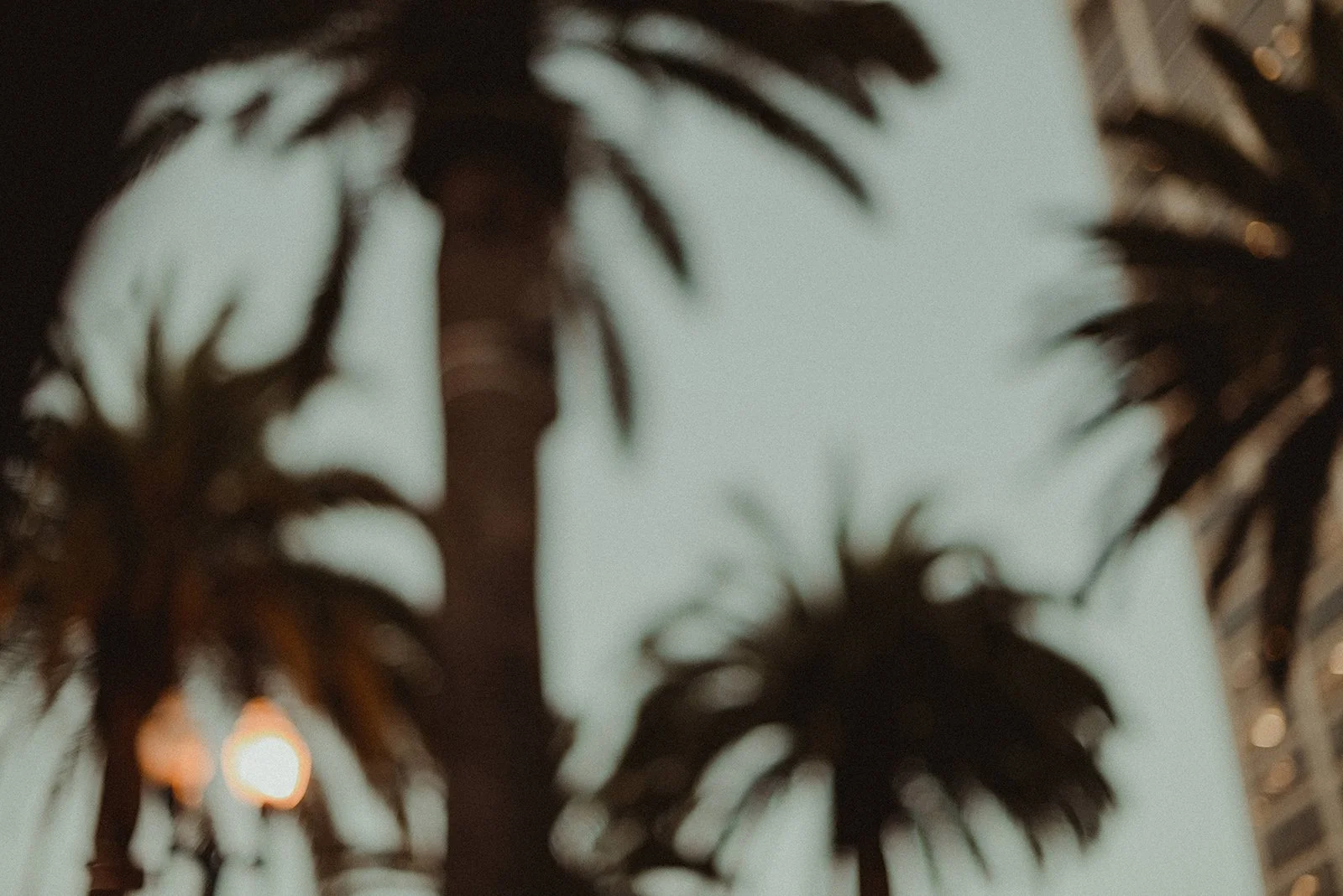 Copyright Darby Magill-5951.jpg