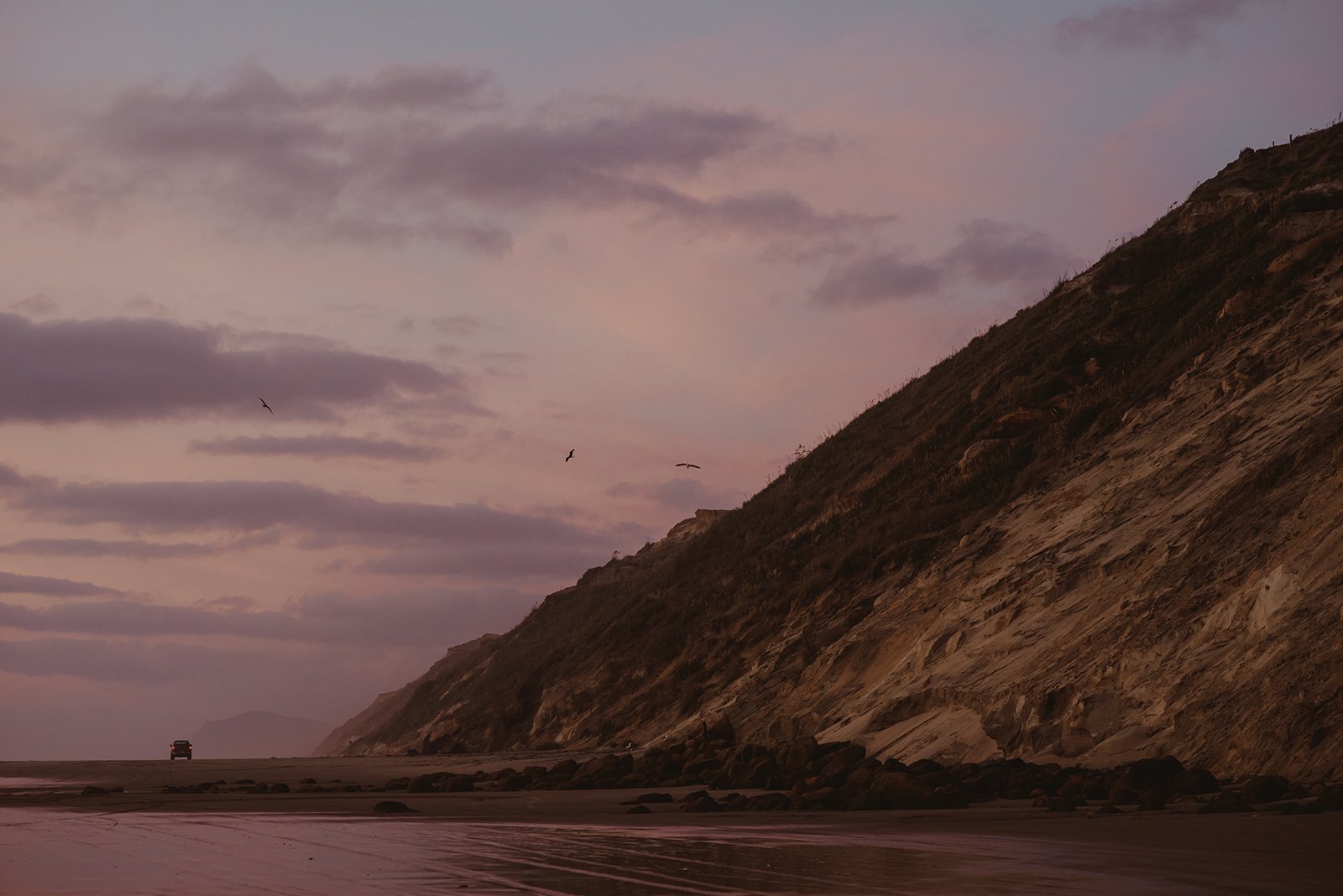 Copyright Darby Magill-4173.jpg