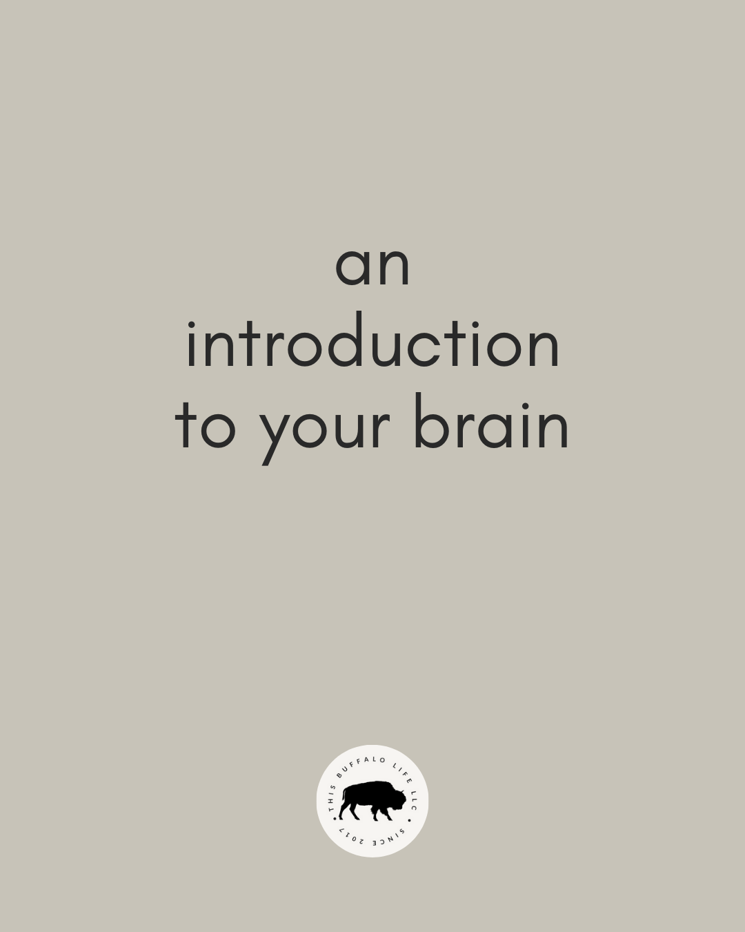 An Introduction to Your Brain