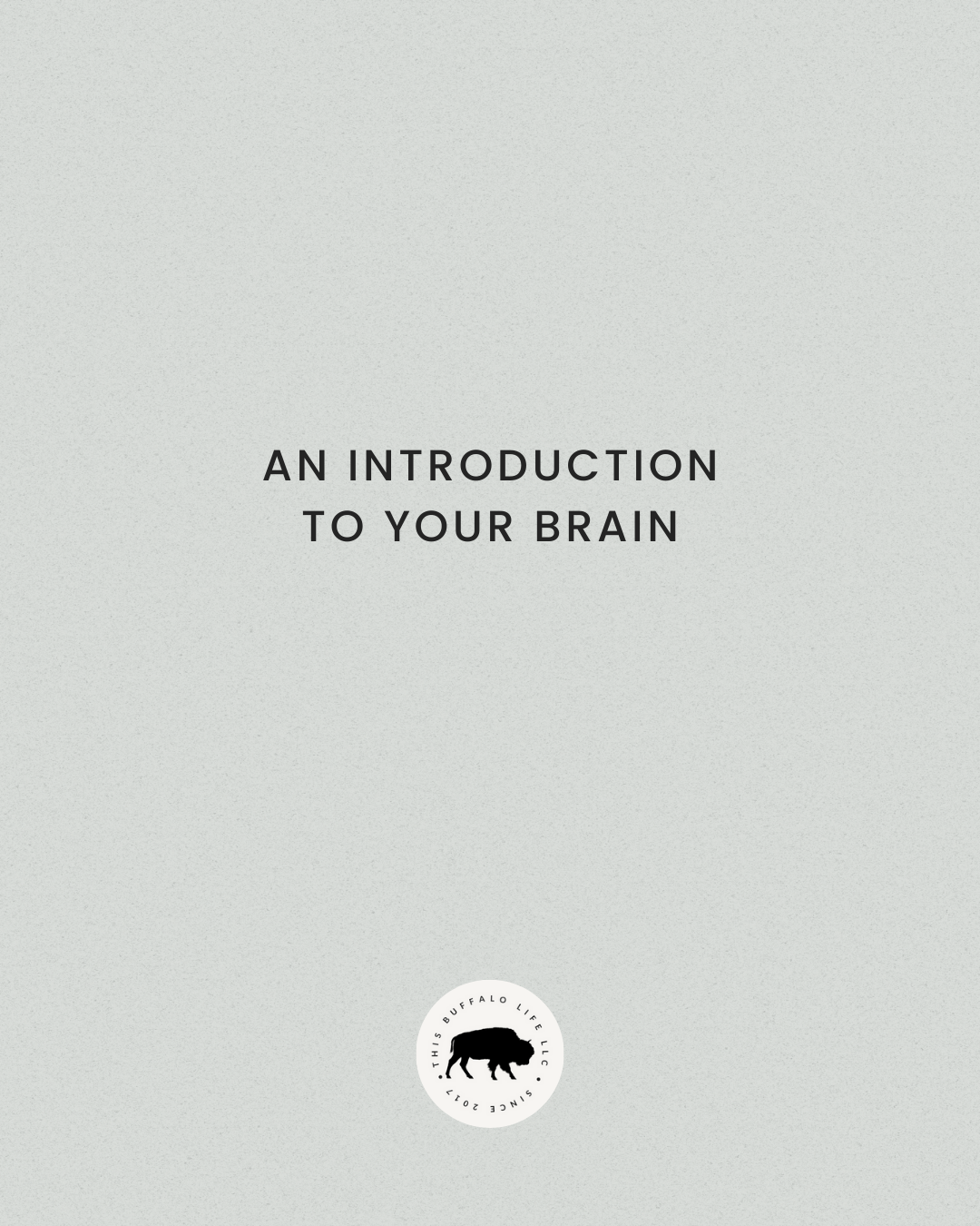 An Introduction to Your Brain