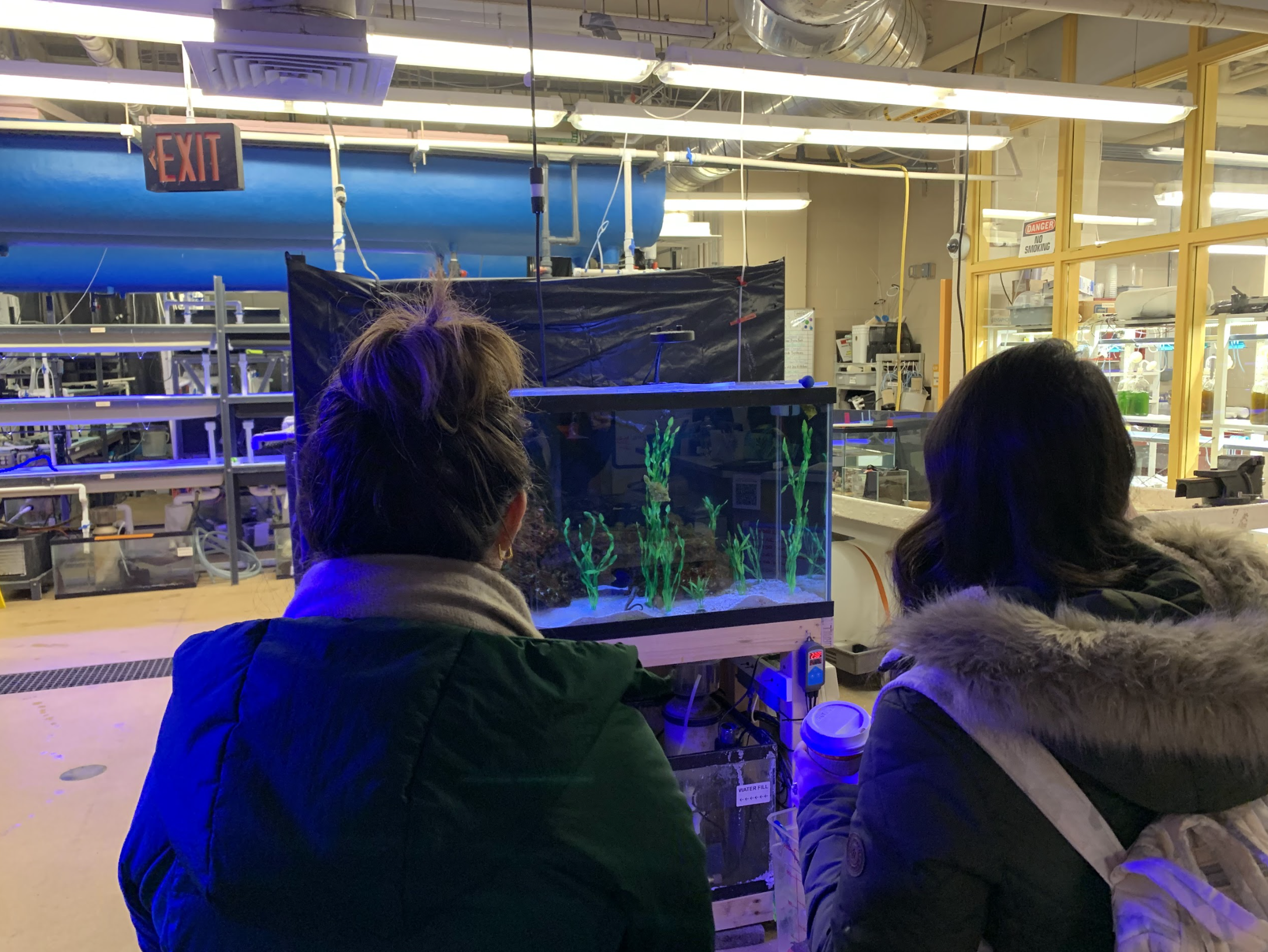 Screenshot 2026-04-14 at 12.42.43 PM.png