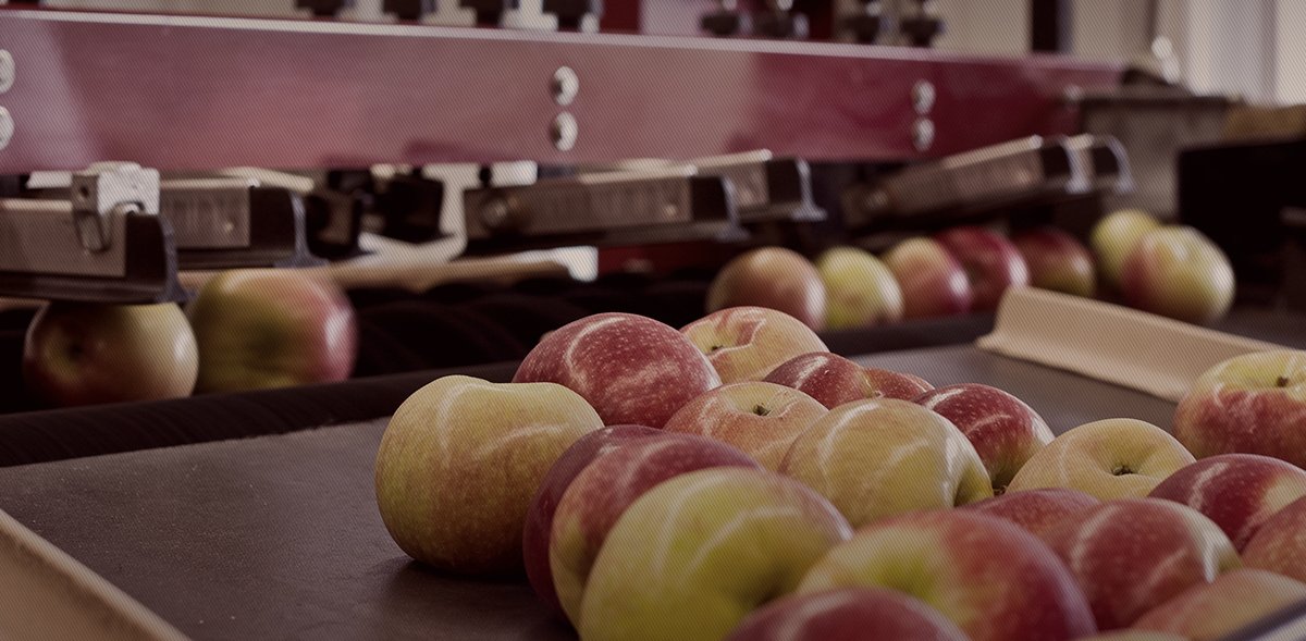 Market Apples — Ecker's Apple Farm