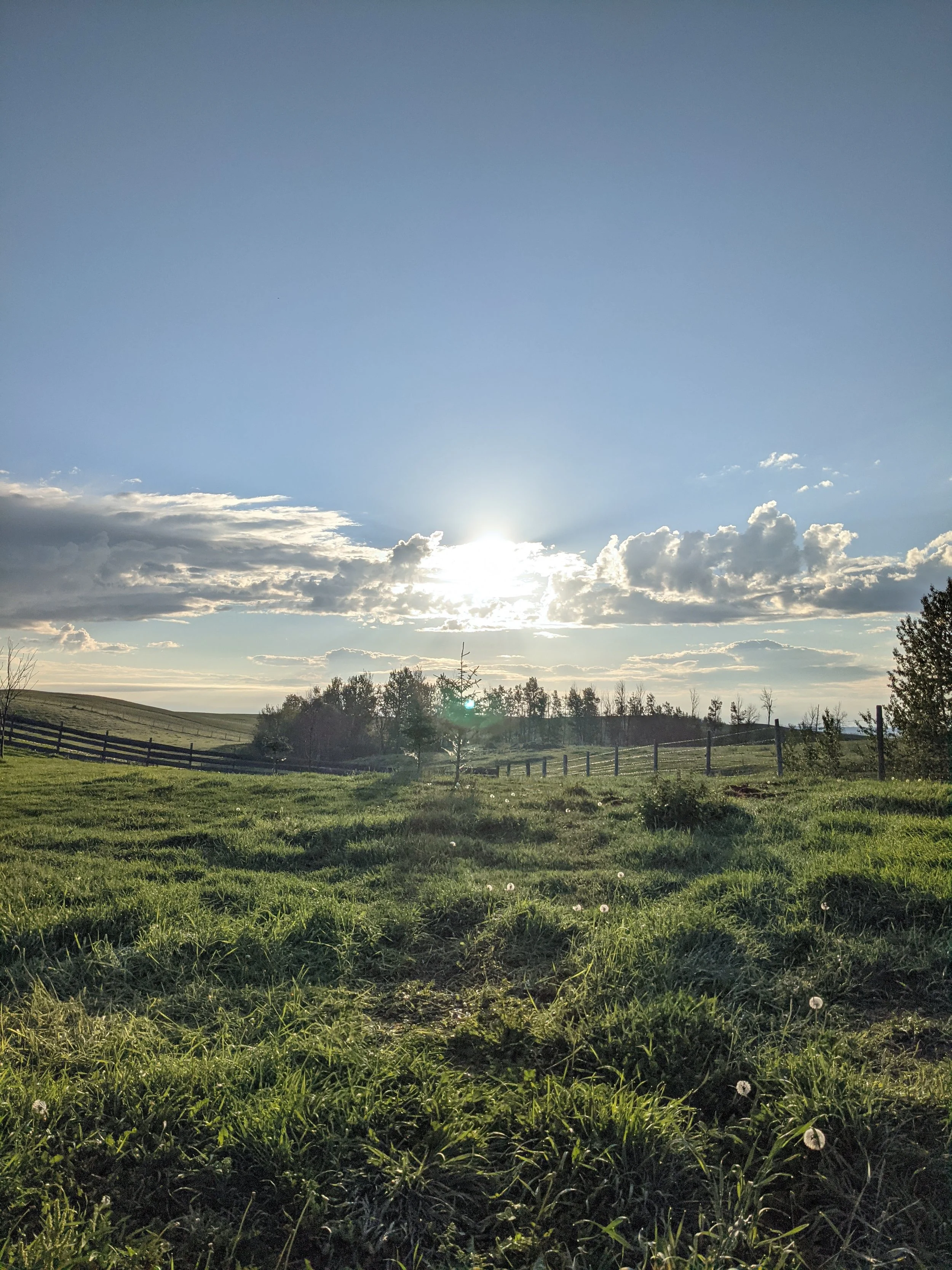 Five Years In: How the Farm and My Business Grew Up Together&nbsp;