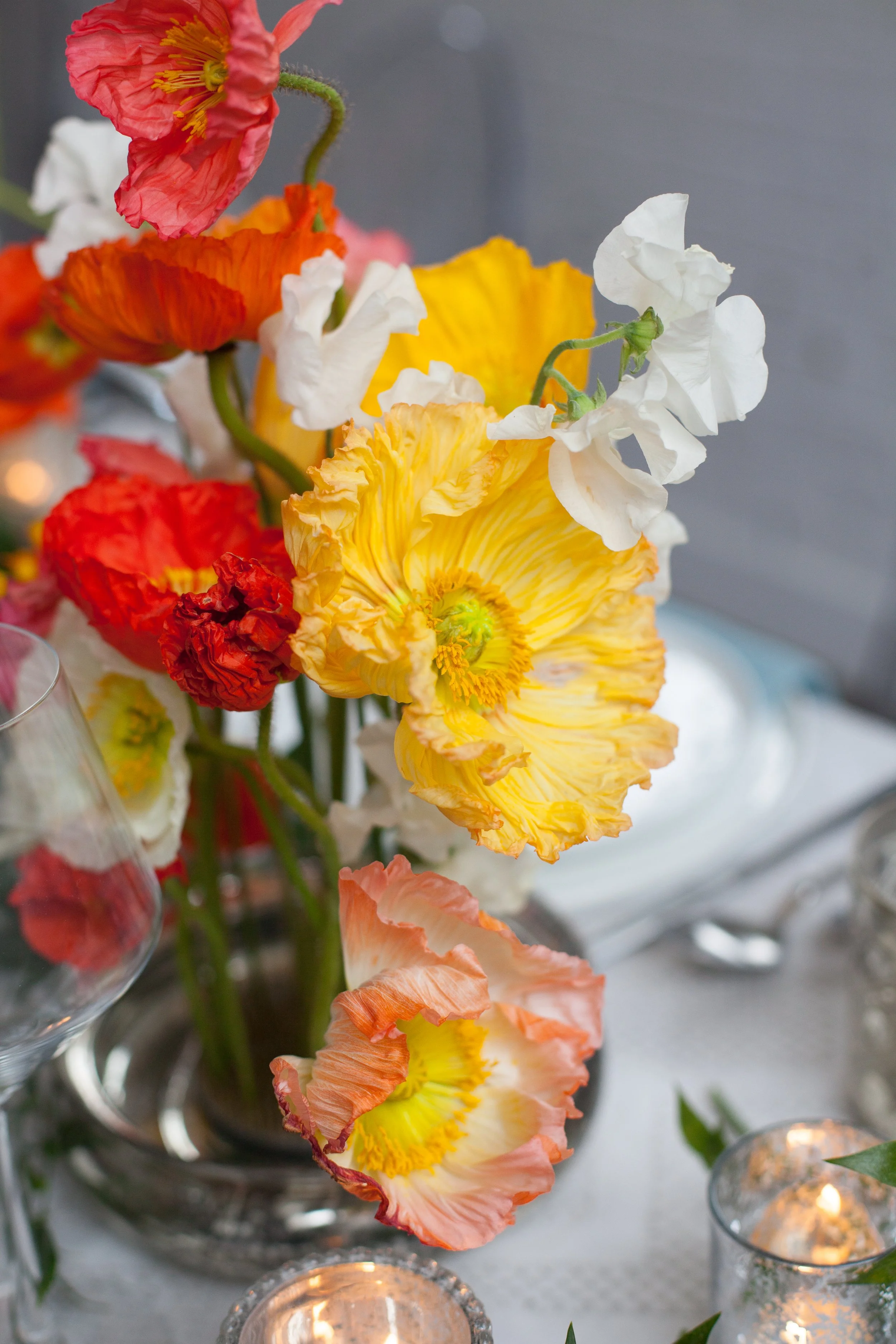 DesiredShotsPhotography-111 copy.jpg