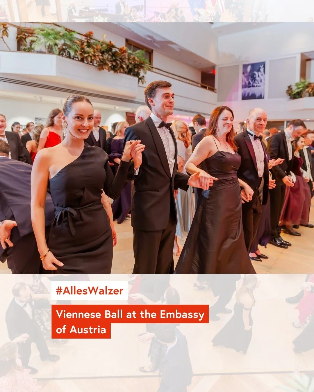 We were delighted to host the Viennese Ball at the Embassy of Austria in collaboration with the International Club of DC @icdcofficial in October! ✨

Guests enjoyed an elegant evening filled with music, dance, and Viennese charm &mdash; from the live