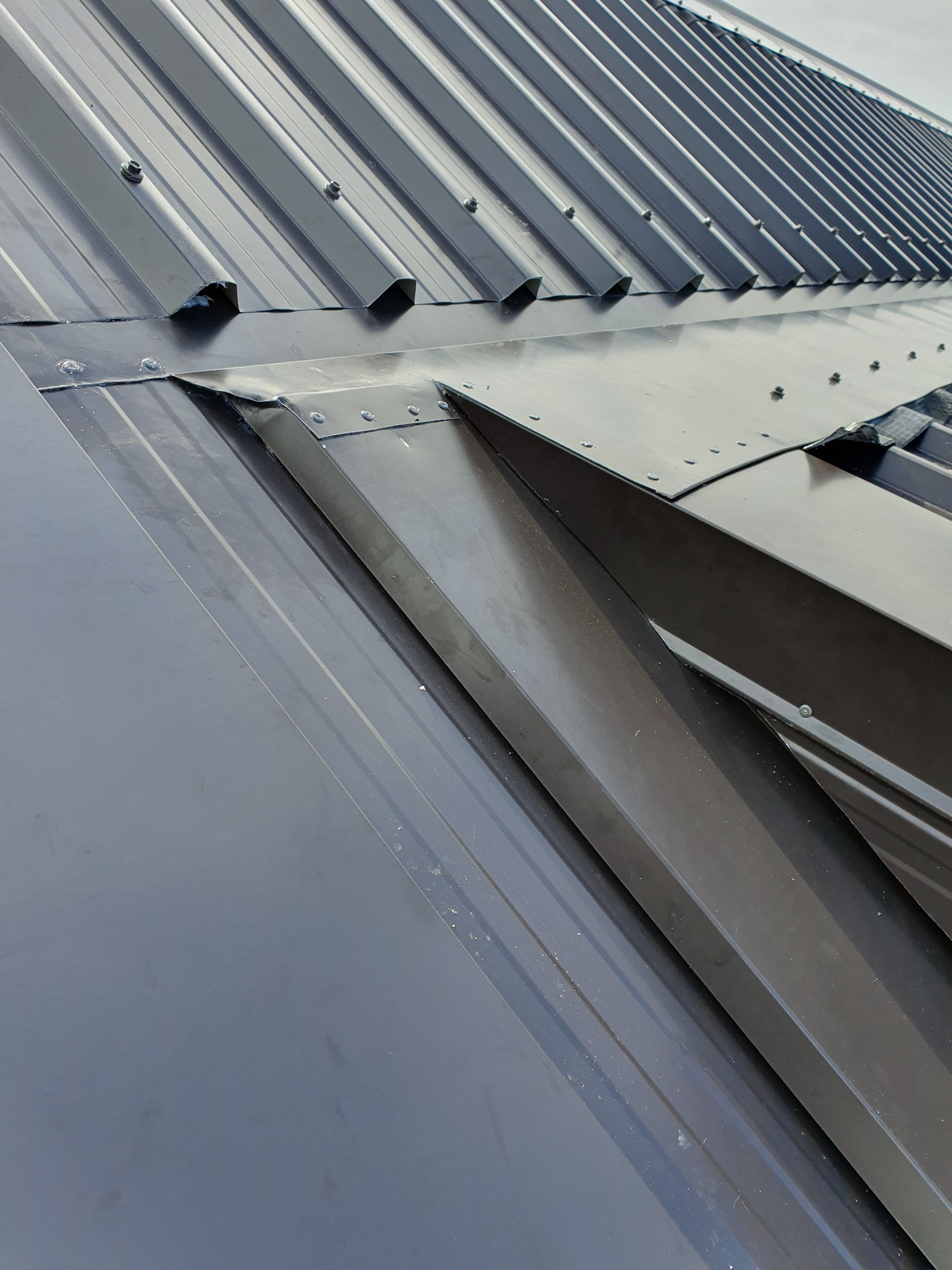 Choosing the Best Roofing Material for Your Te Awamutu Home
