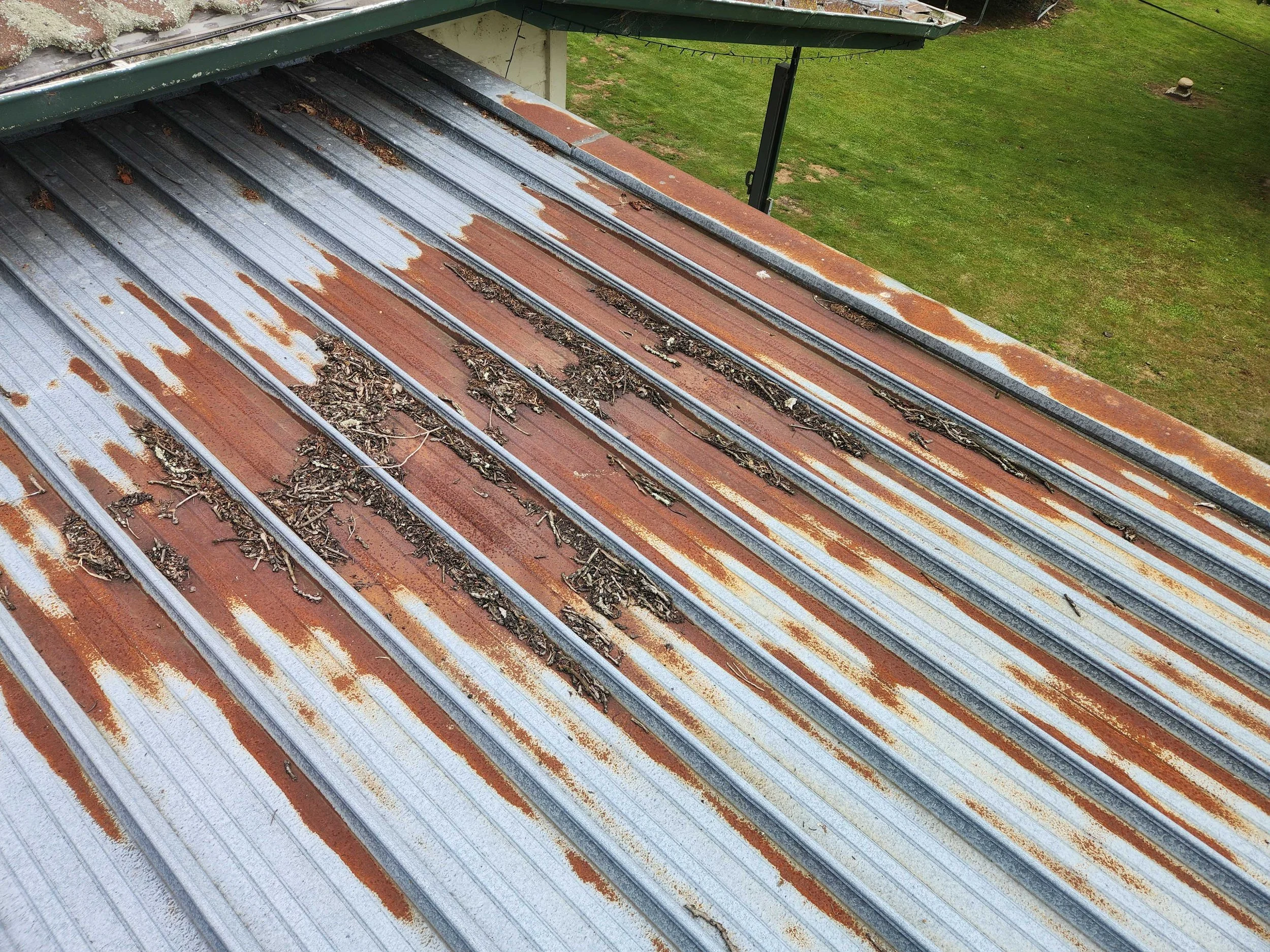 Why Replacing Your Old Roof in Hamilton Is Better Than Just Repairing It