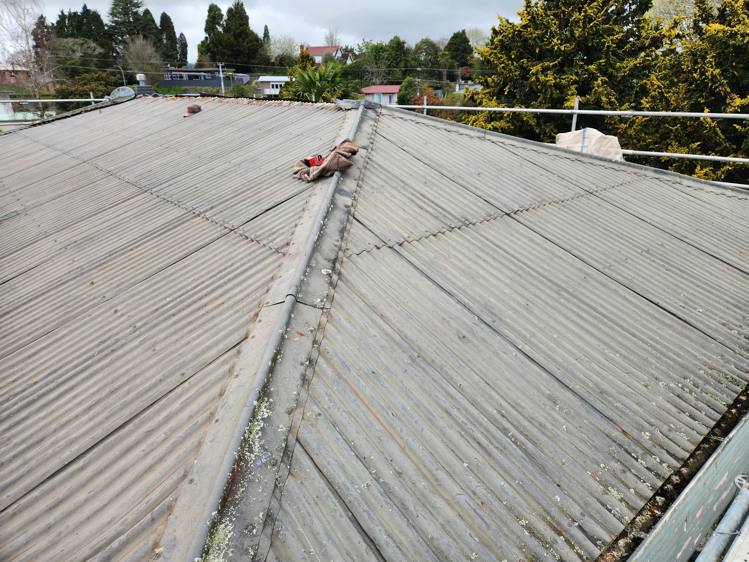 View of a corrugated metal roof with some patches of moss and debris, surrounded by trees and houses in the background.