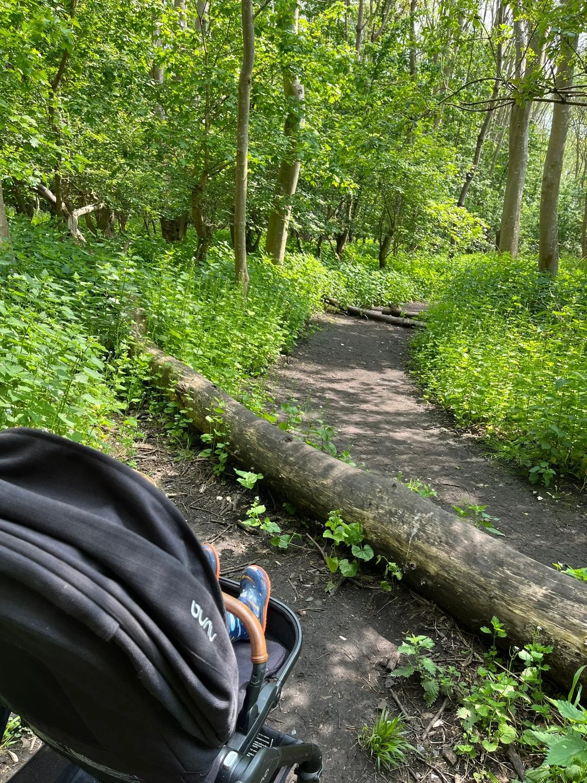 Built Barriers_031.jpg