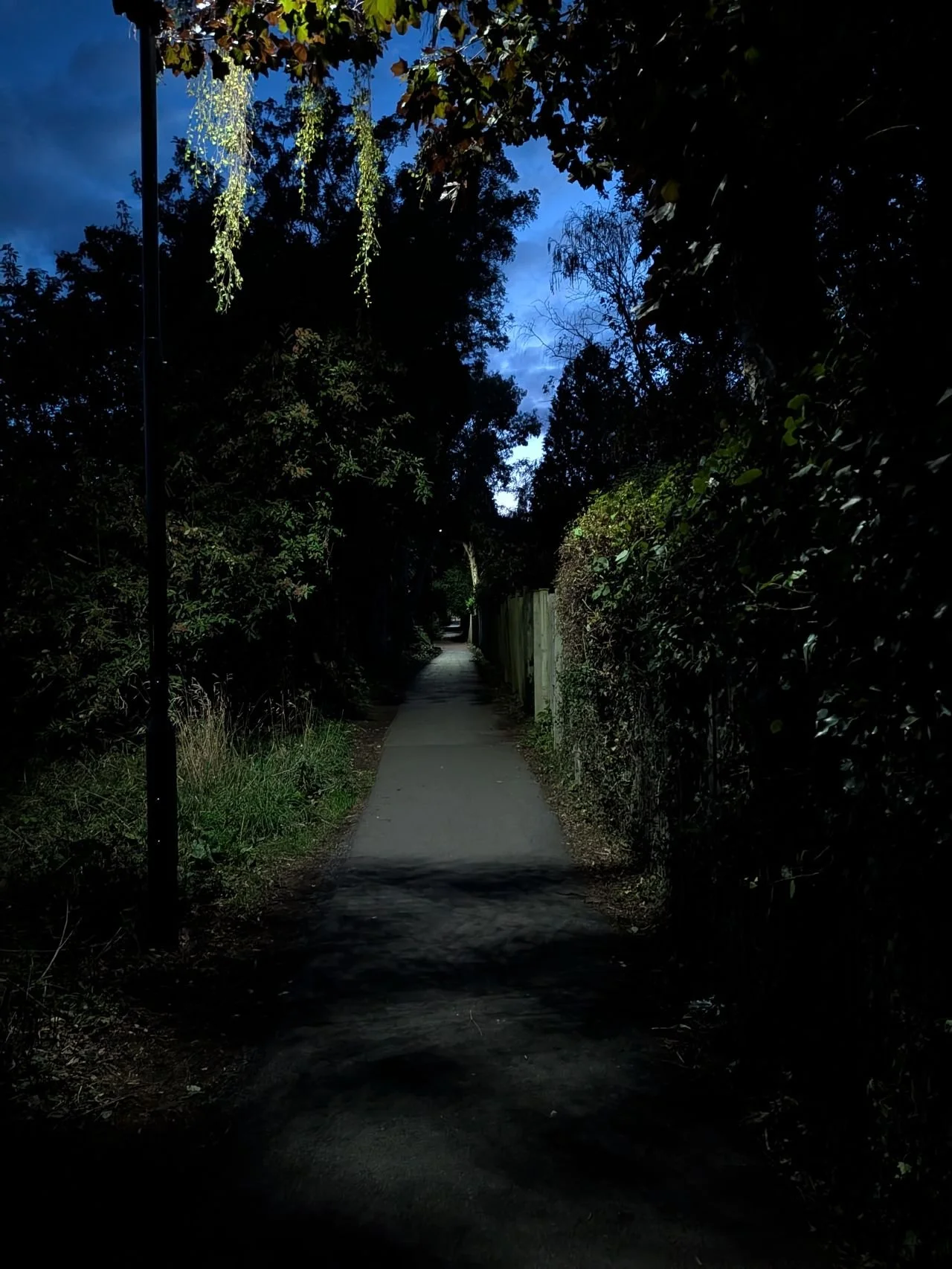 Built Barriers_098.jpg