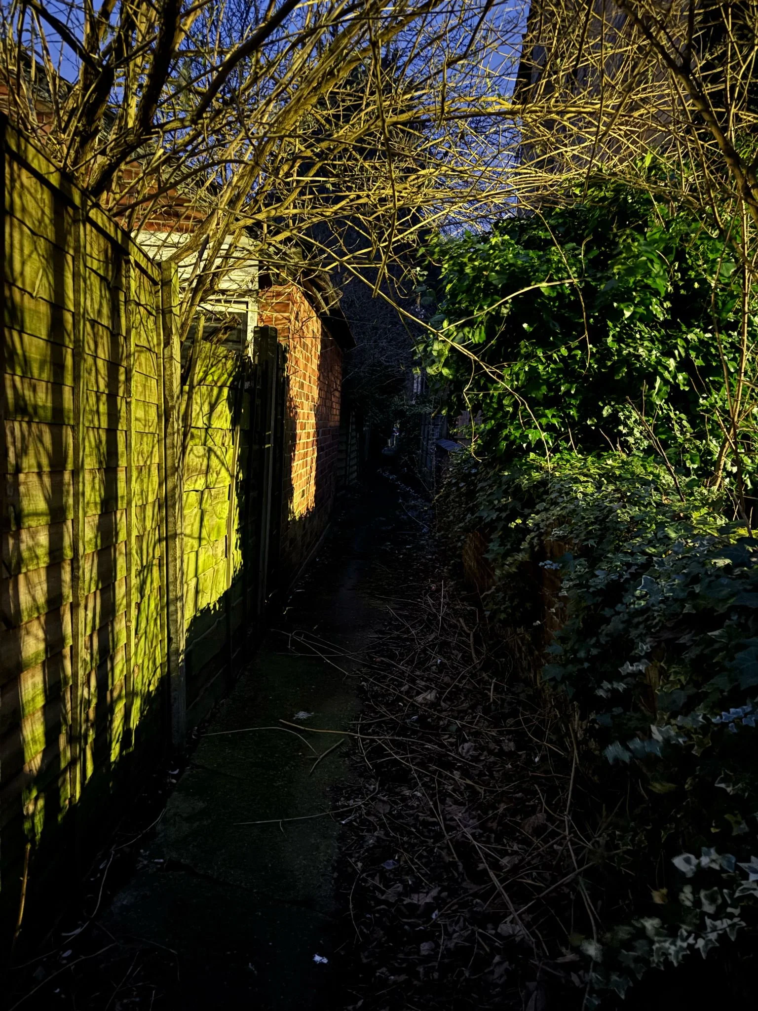 Built Barriers_008.jpeg