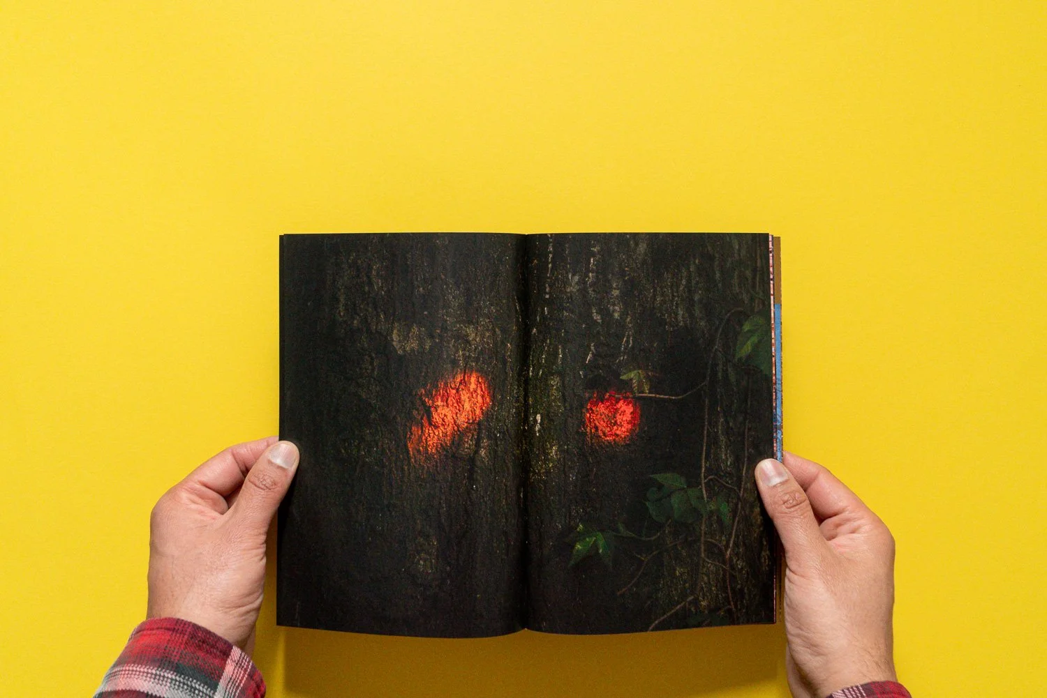 001 Issue 017 and Bundle Yellow  002.jpg