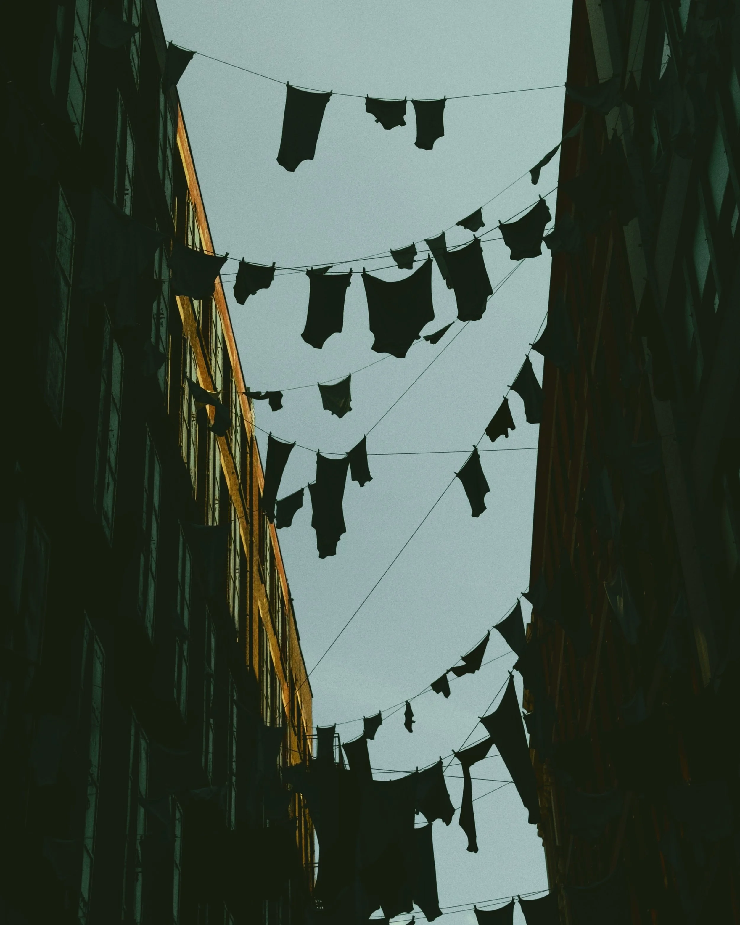 08.02.2025__10.50AM__Summer Streets_NY__iPhone Pro 14_Snapseed Edited__HQFFE3446.JPG