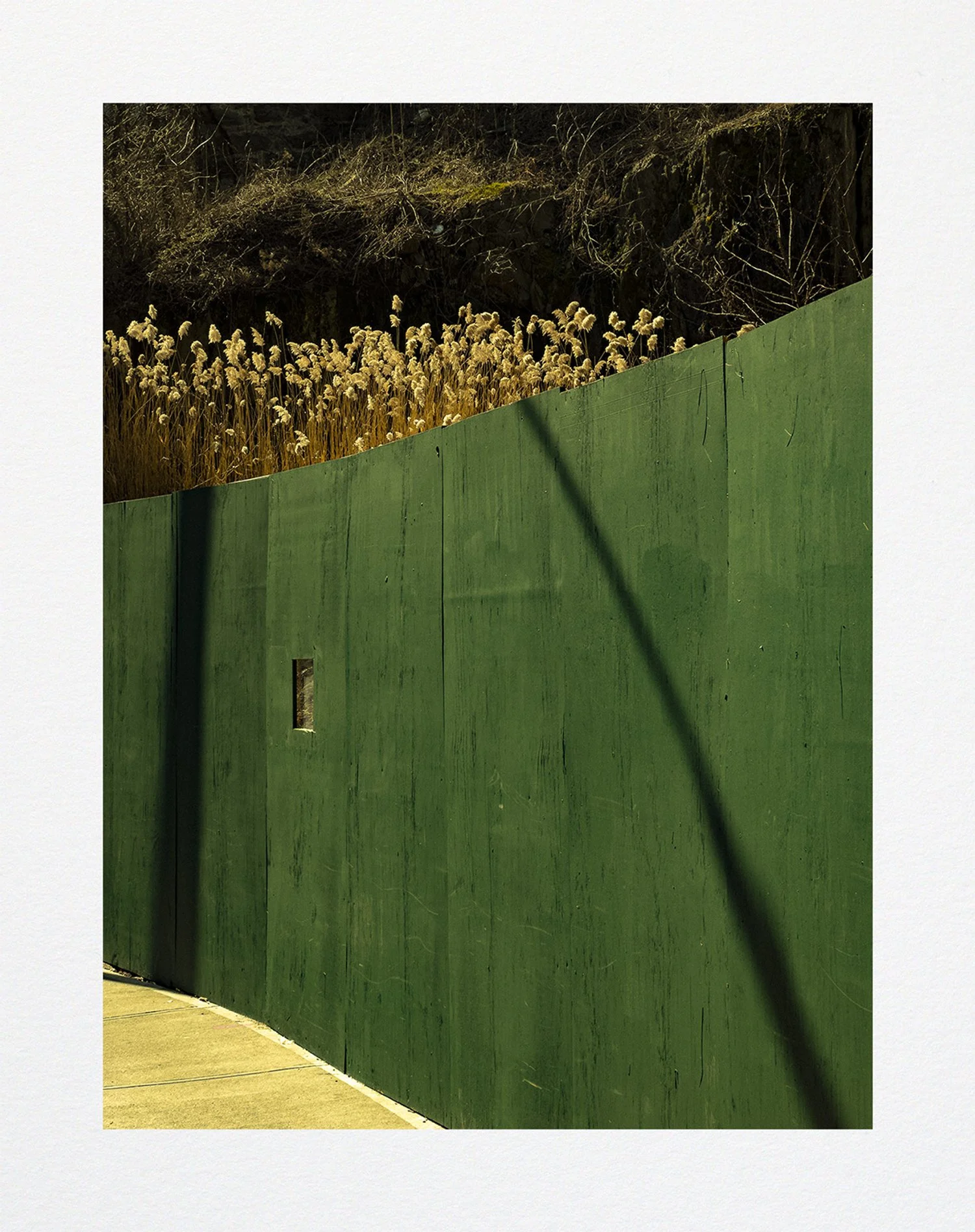 002 Issue 001 Web Shop.jpg