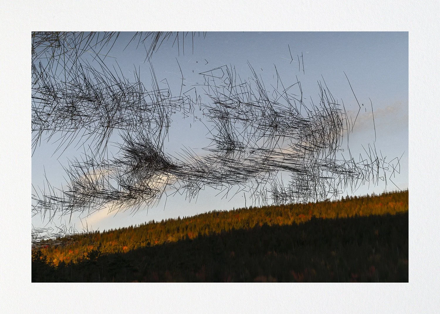 022 Issue 003 Quartet3.jpg