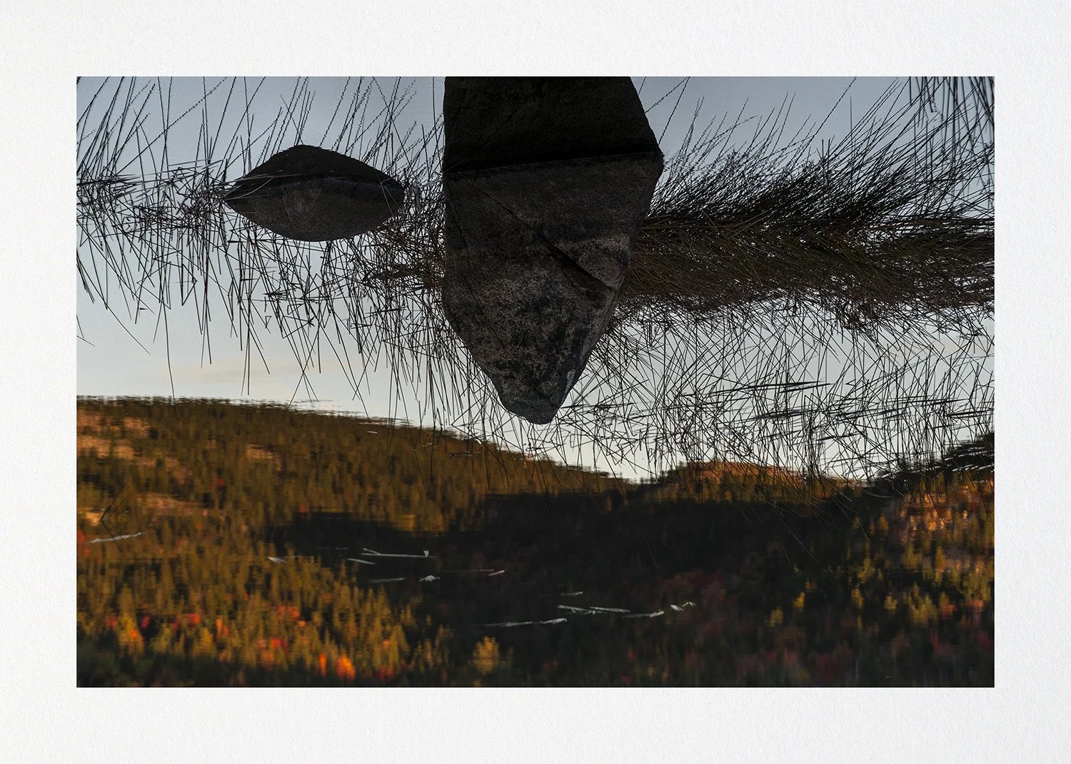 020 Issue 003 Quartet1.jpg