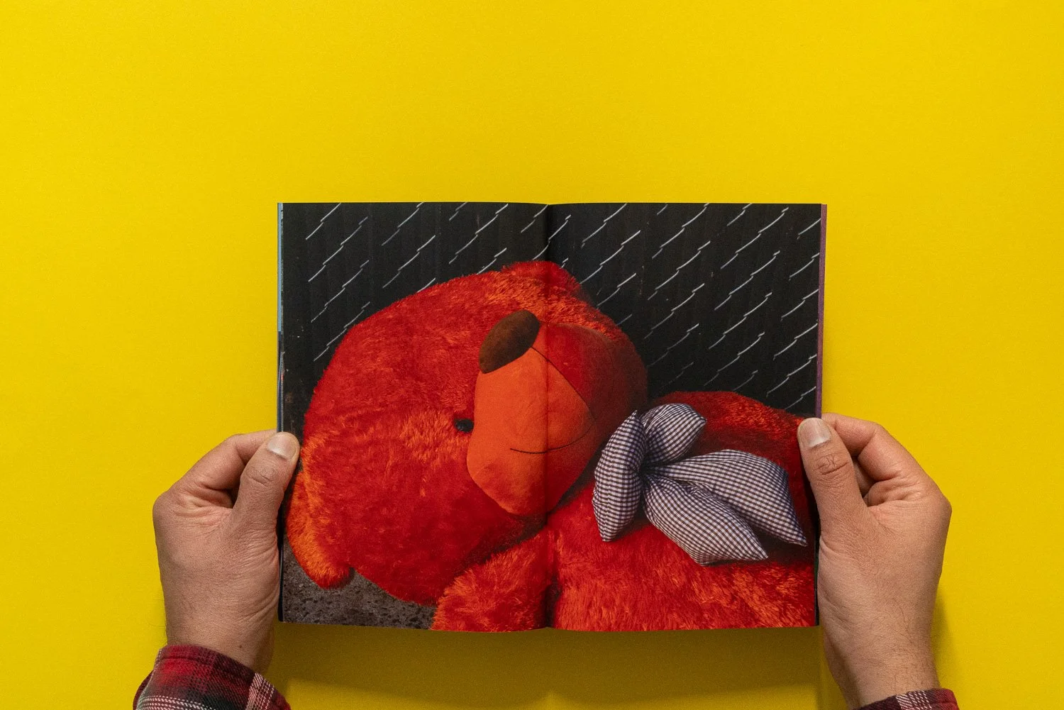 019 Issue 019 and Bundle  008.jpg