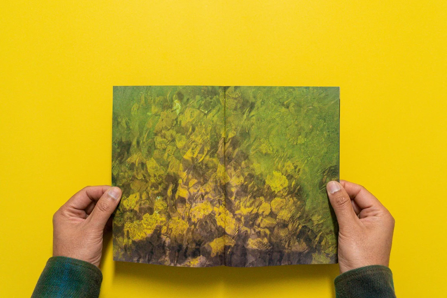 Issue 014 Yellow BG  002.jpg