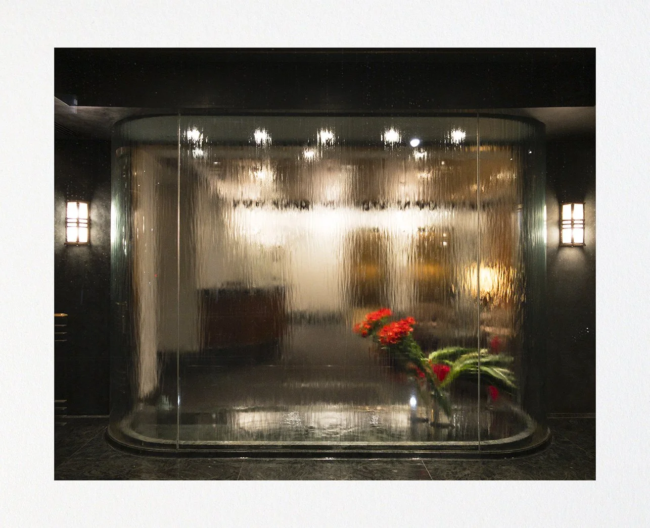 038 Issue 005 Flower Window Emon Hassan | emonhassan.com 000.jpg