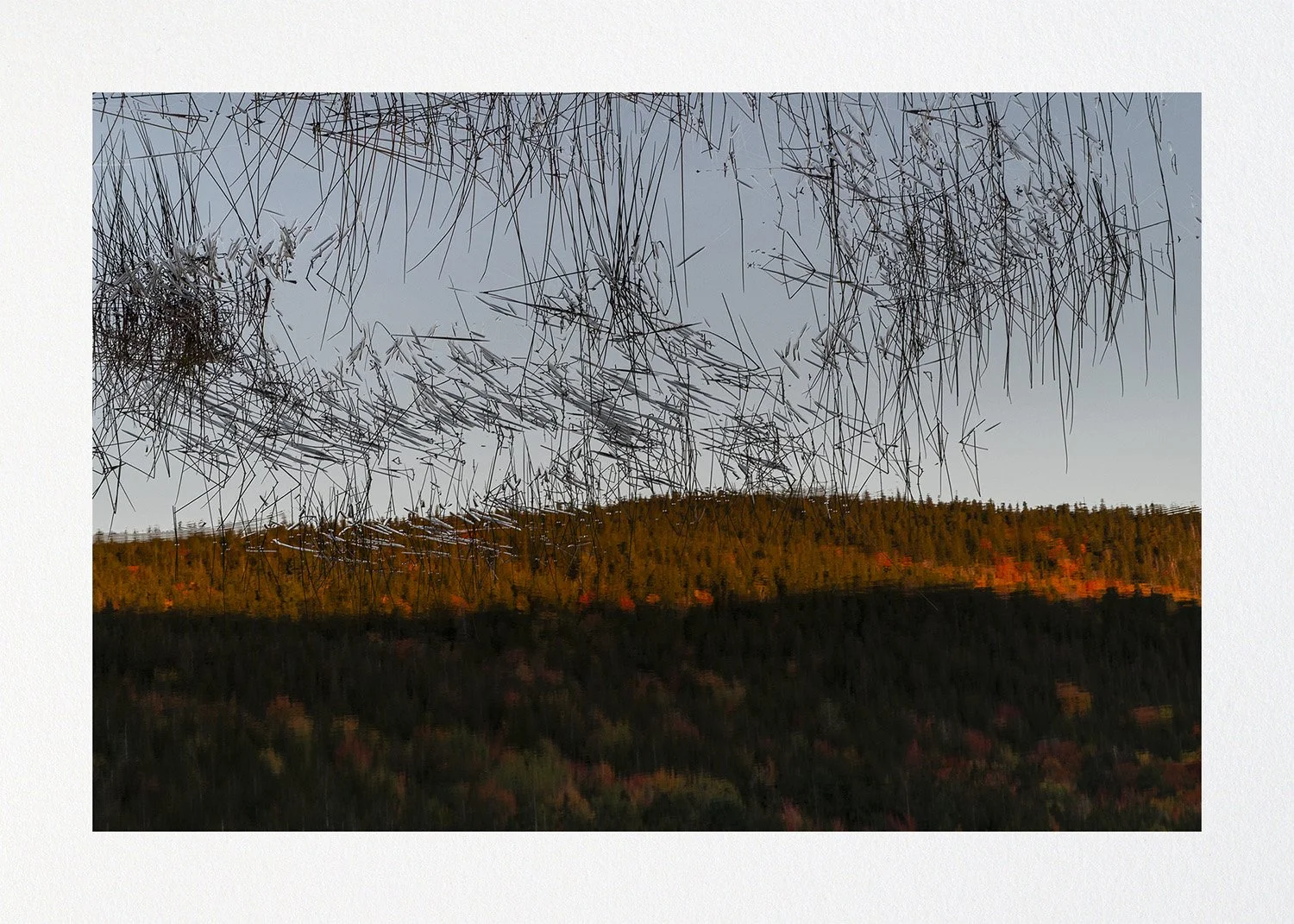 023 Issue 003 Quartet4.jpg