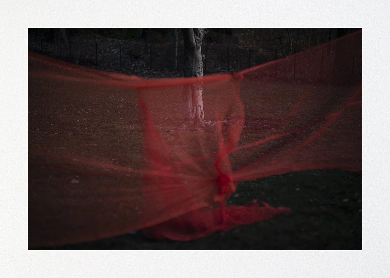 030 Issue 003 Tree Skirt.jpg