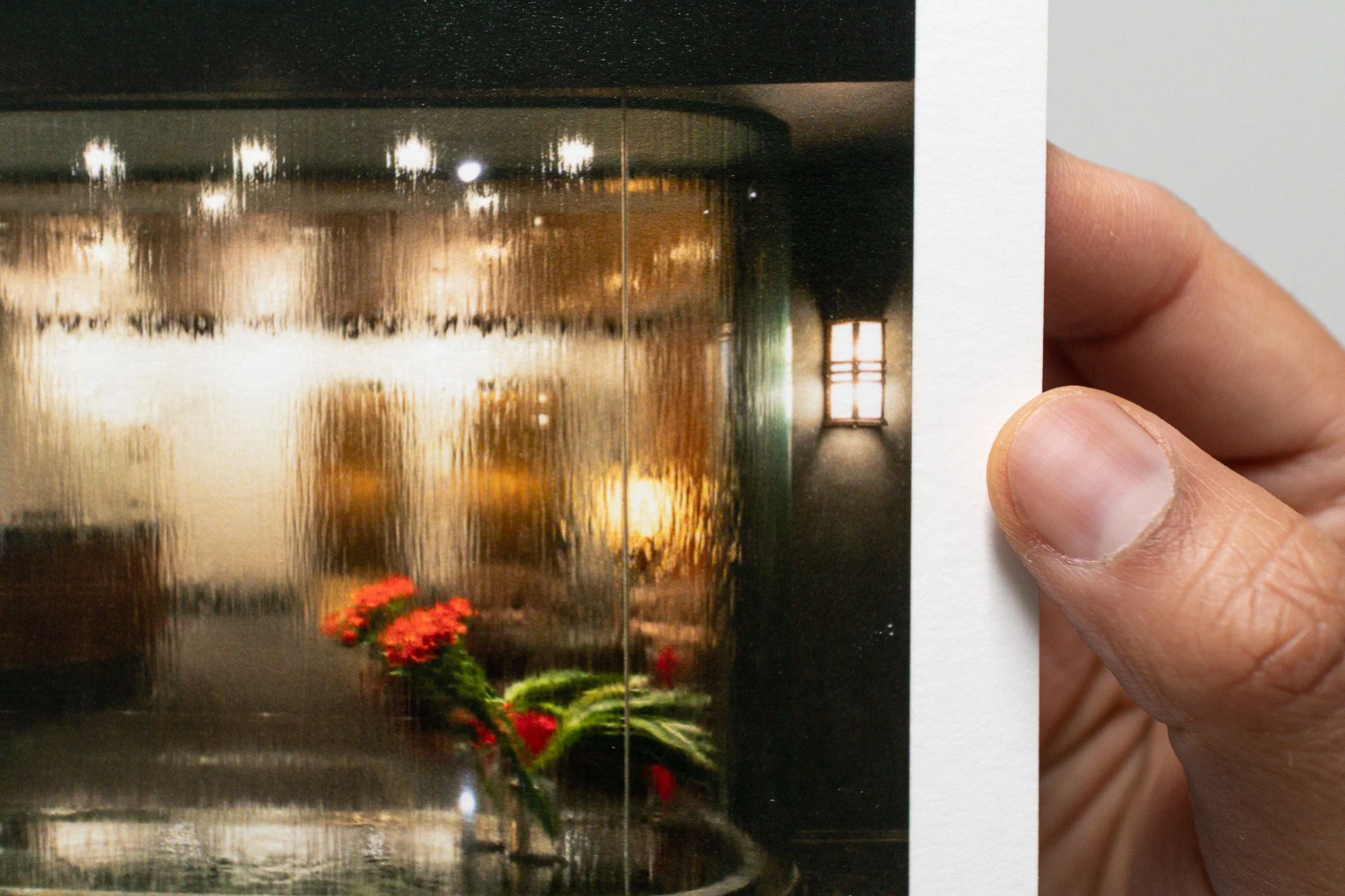 038 Issue 005 Flower Window Emon Hassan | emonhassan.com 002.jpg