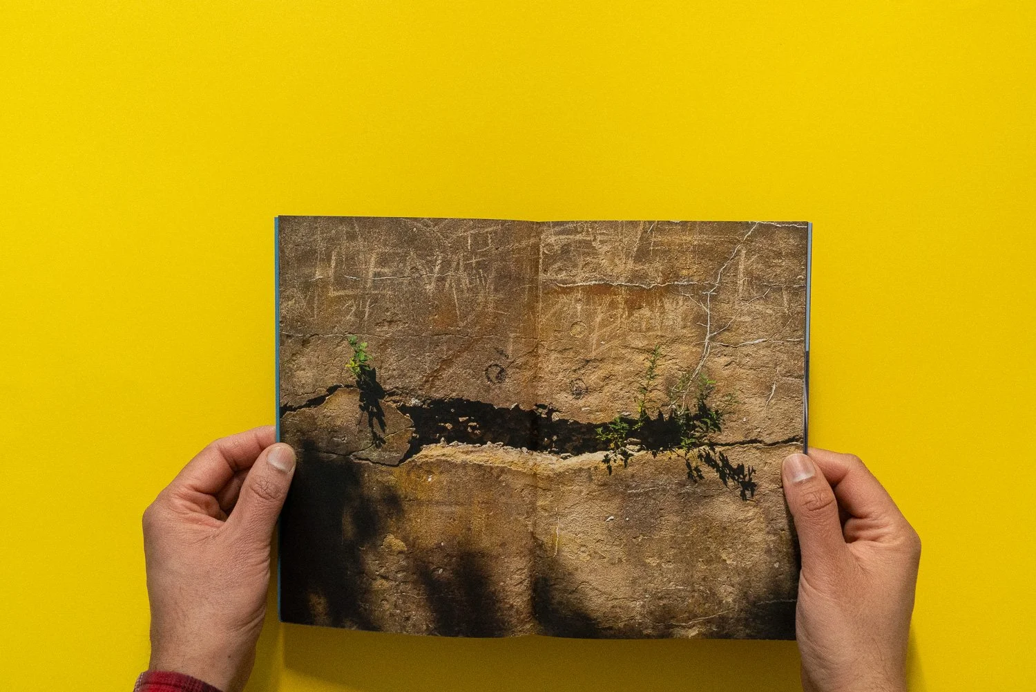 019 Issue 019 and Bundle  004.jpg