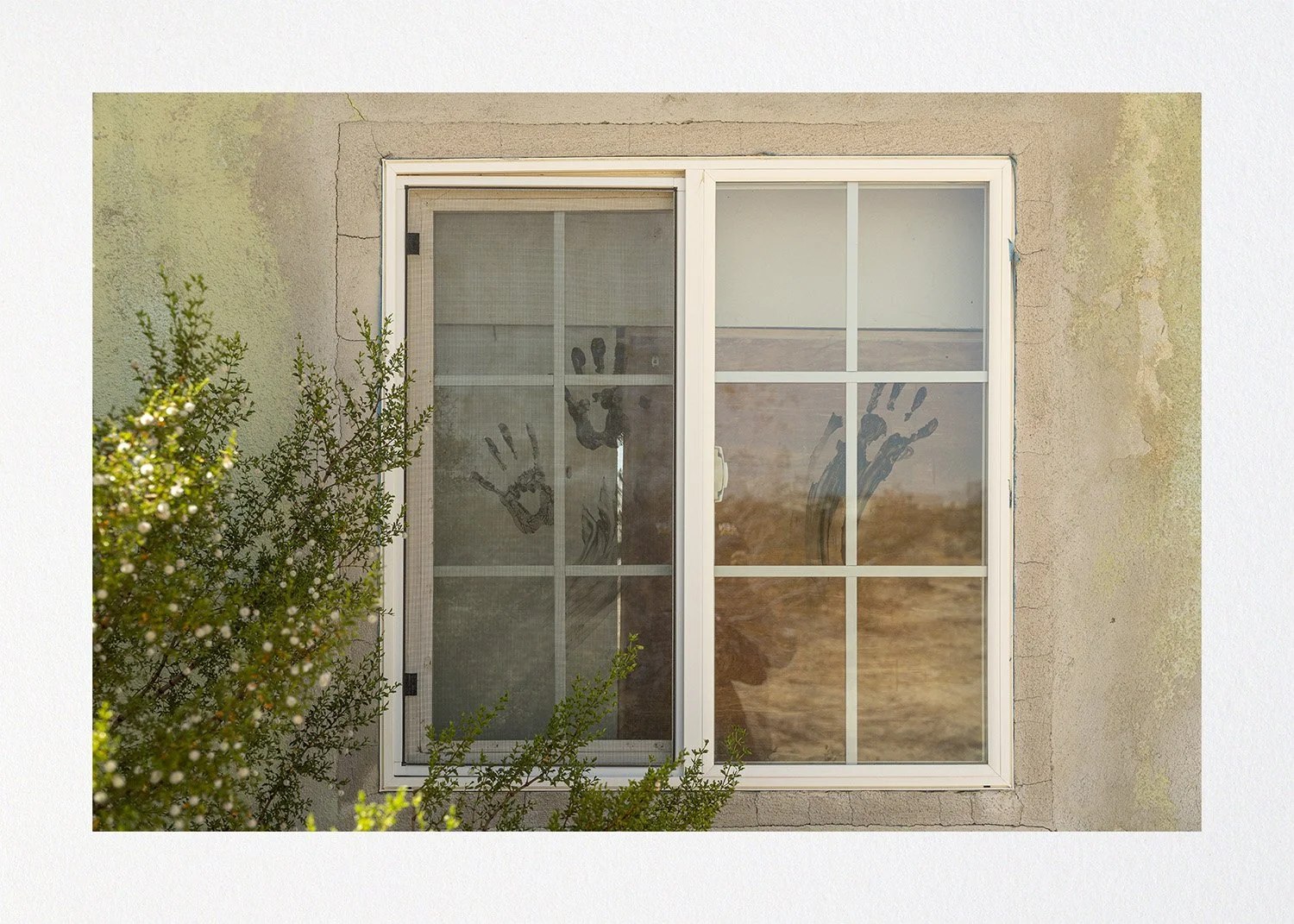 010 Issue 002 Dunes2.jpg