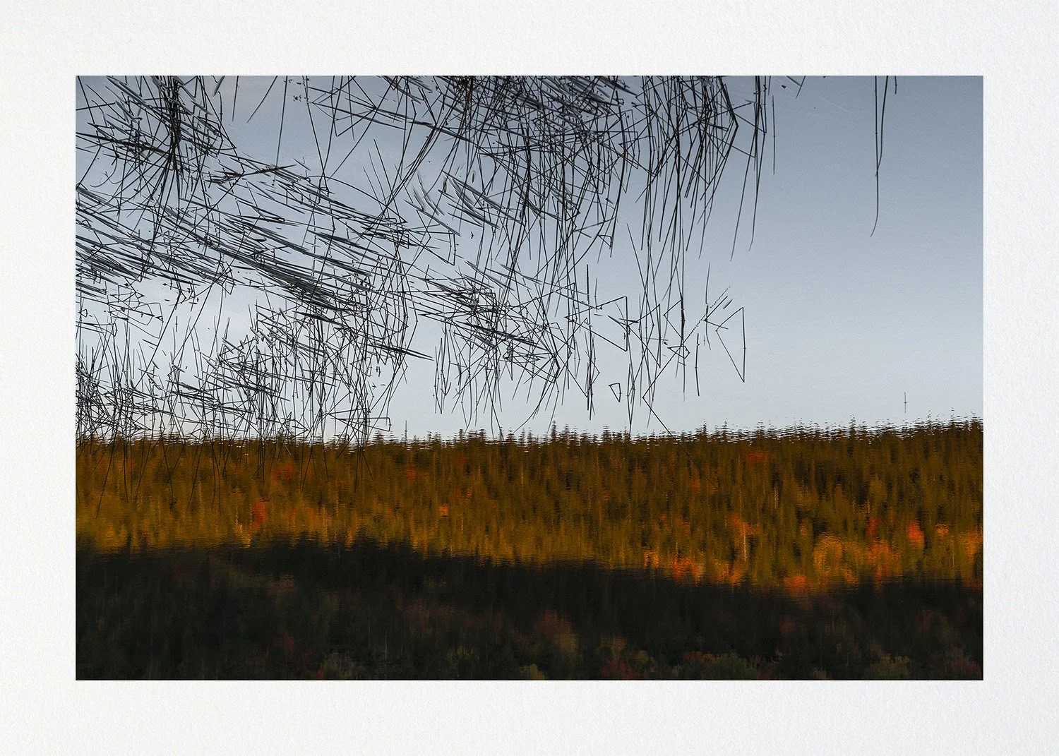 021 Issue 003 Quartet2.jpg