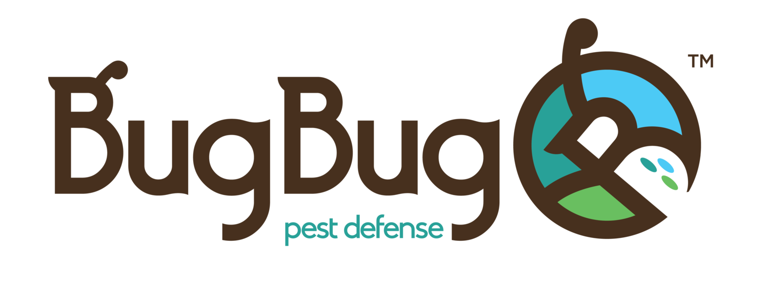 BugBug