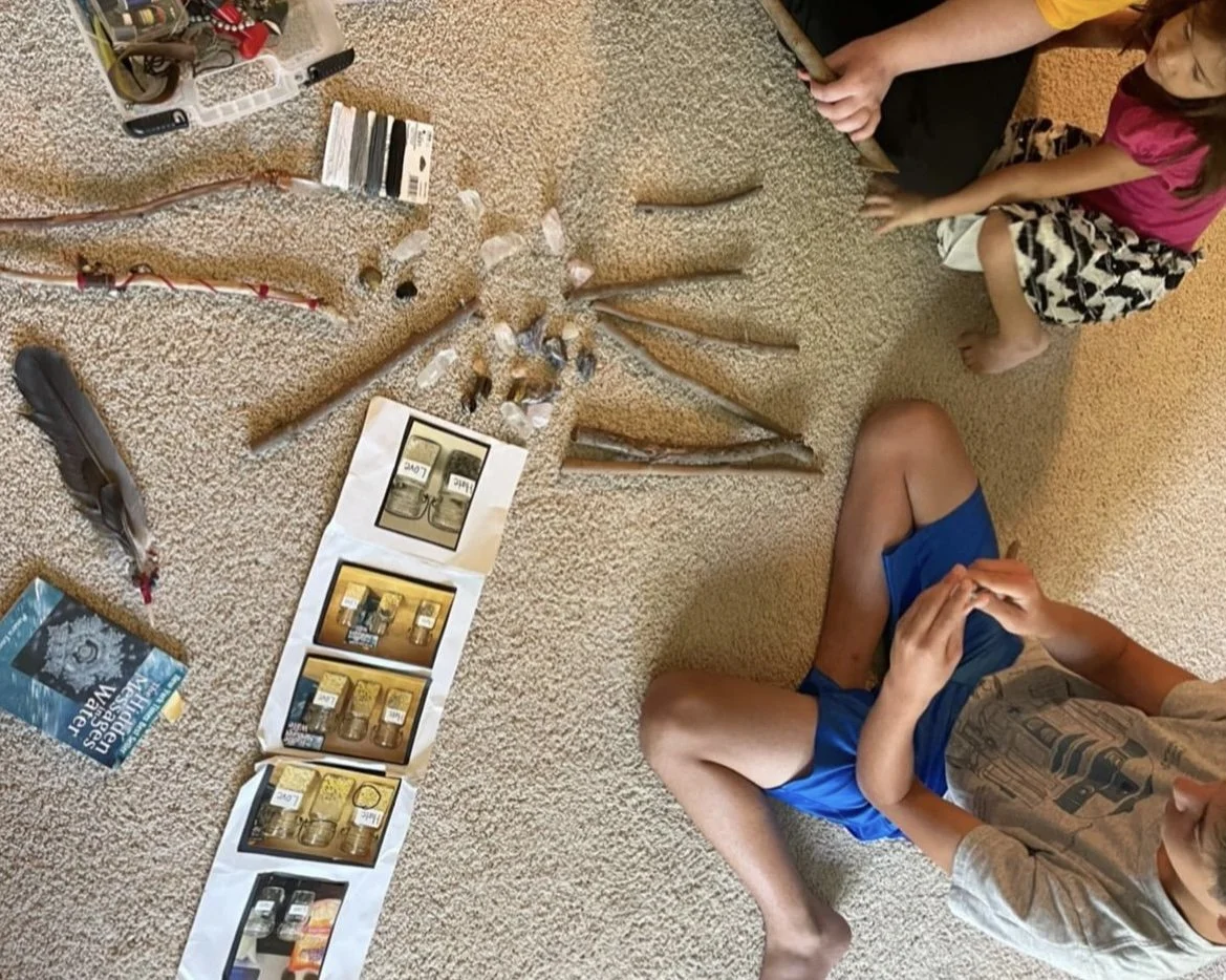 Two children sitting on a carpeted floor, observing a collection of sticks, rocks, and other natural objects arranged in a circle. Various household items and boxes are nearby.