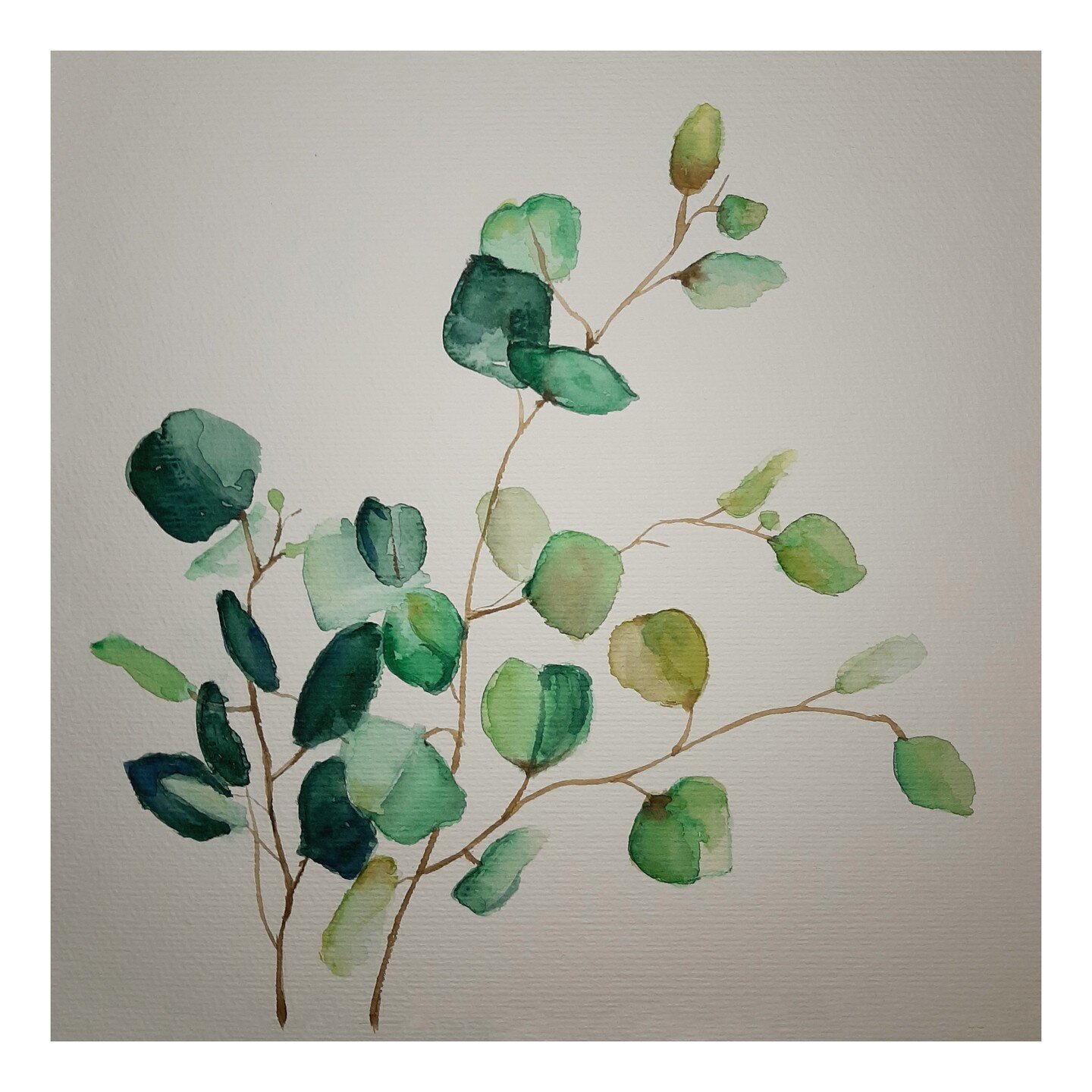 Aquarelle
. #aquarelle #watercolor #art #selberzeichnet #watercolorillustration #windsornewtonwatercolor #vase #eucalyptus #paint
22 Wo.