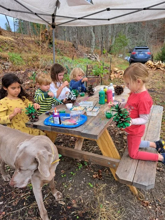 Pine cone painting, winter workshop 2022.