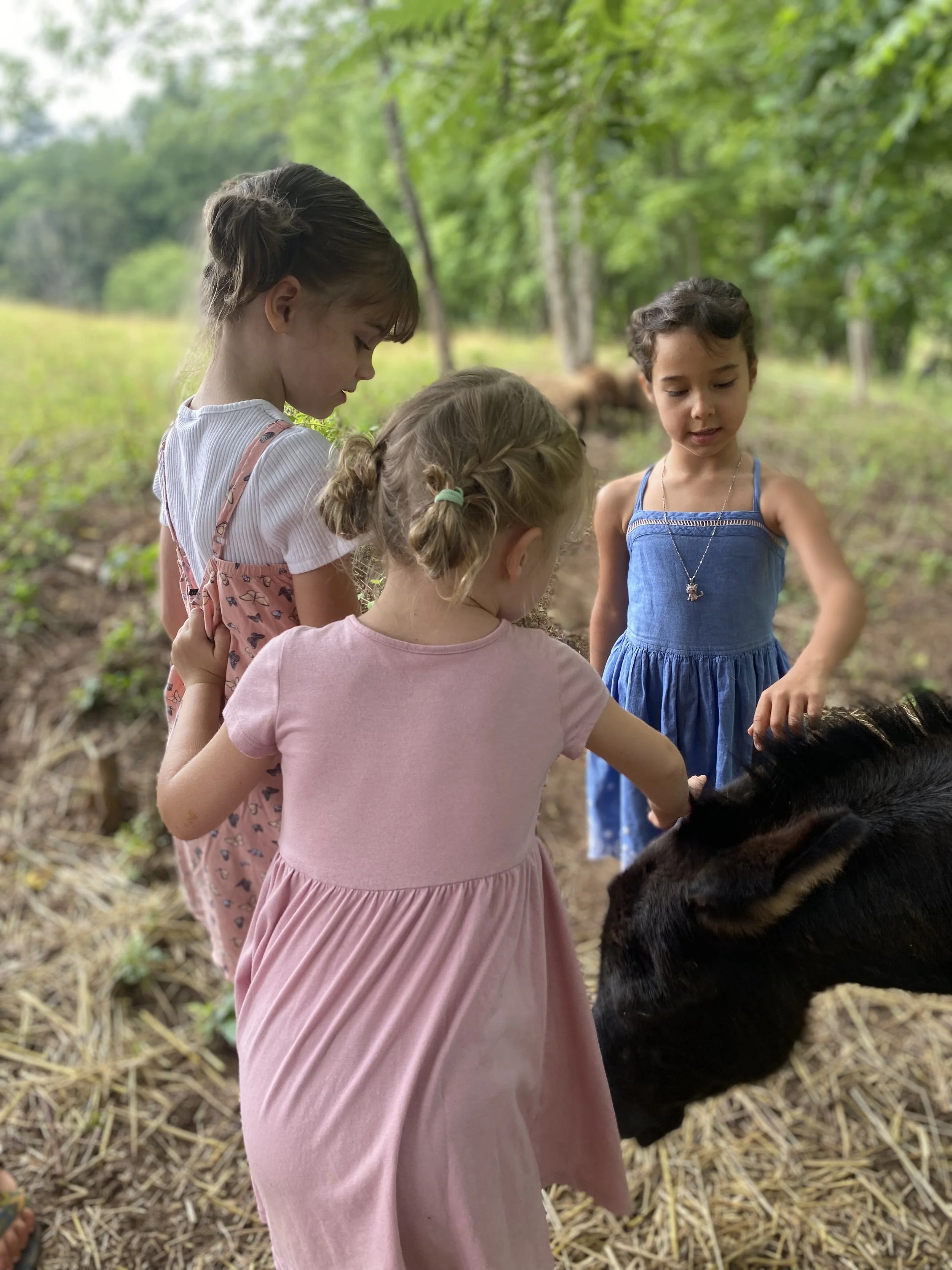 Student's with the donkey, Desmond.