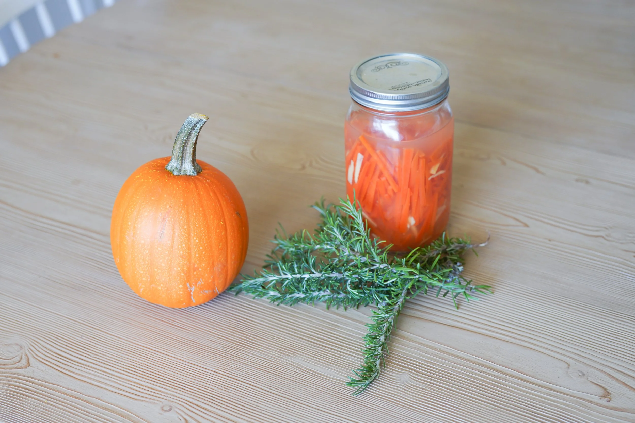 Lifestyle and Brand Photography