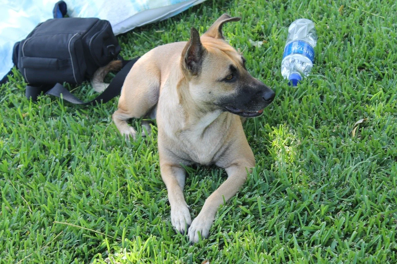 Julio, 2013 (San José Villanueva, El Salvador)