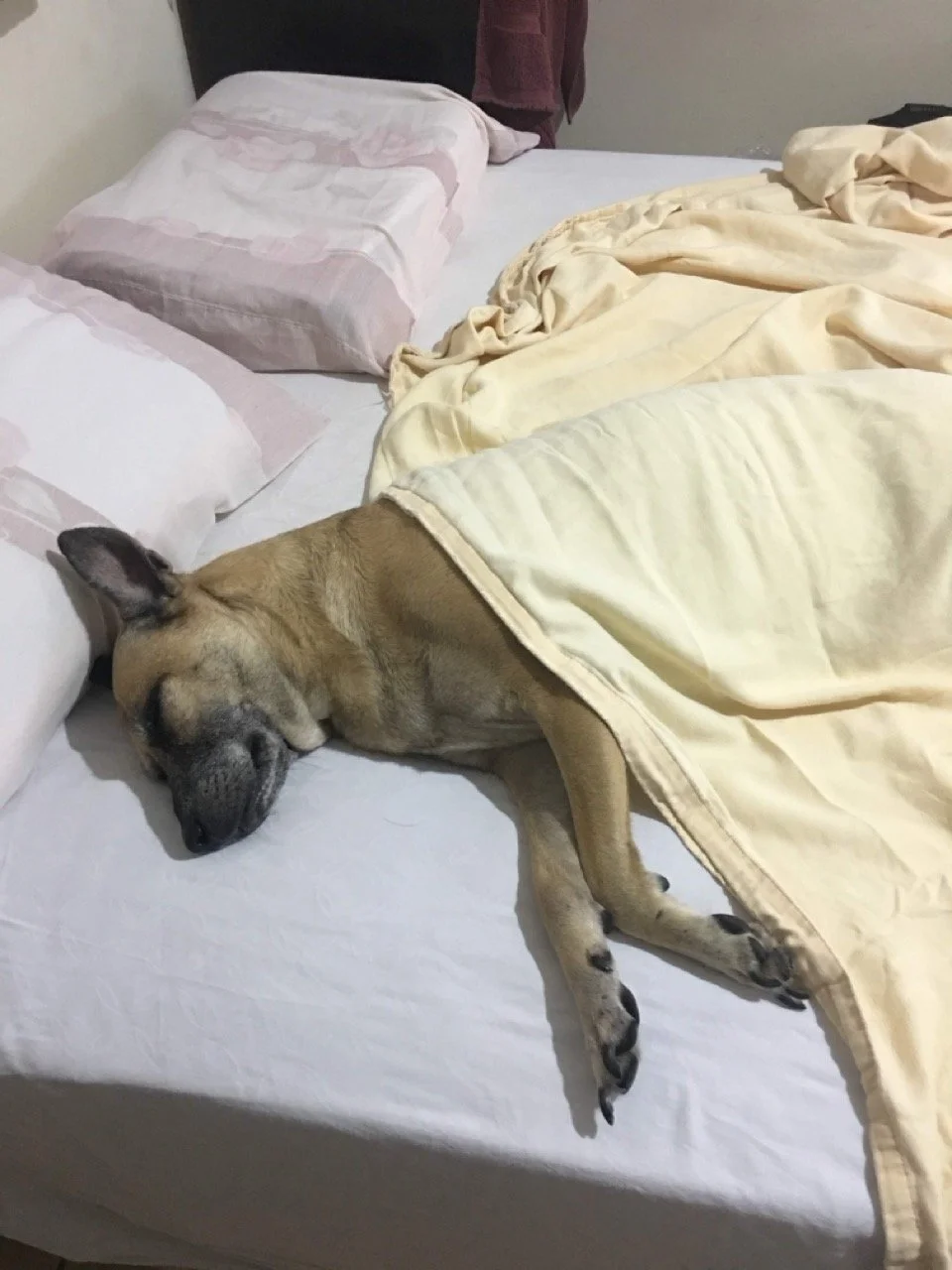 Agosto, 2018 (San José Villanueva, El Salvador)