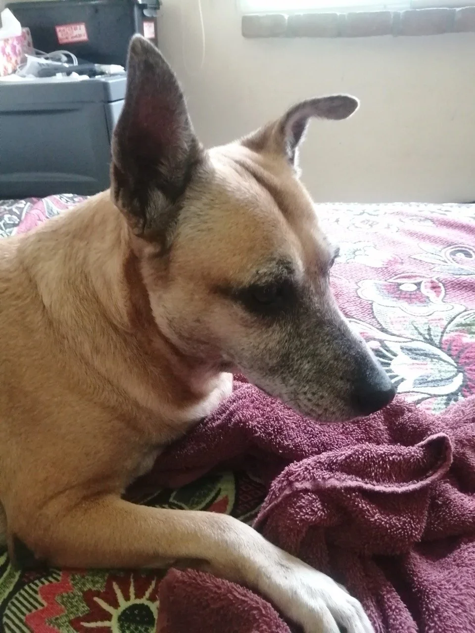 Julio, 2020 (San José Villanueva, El Salvador)