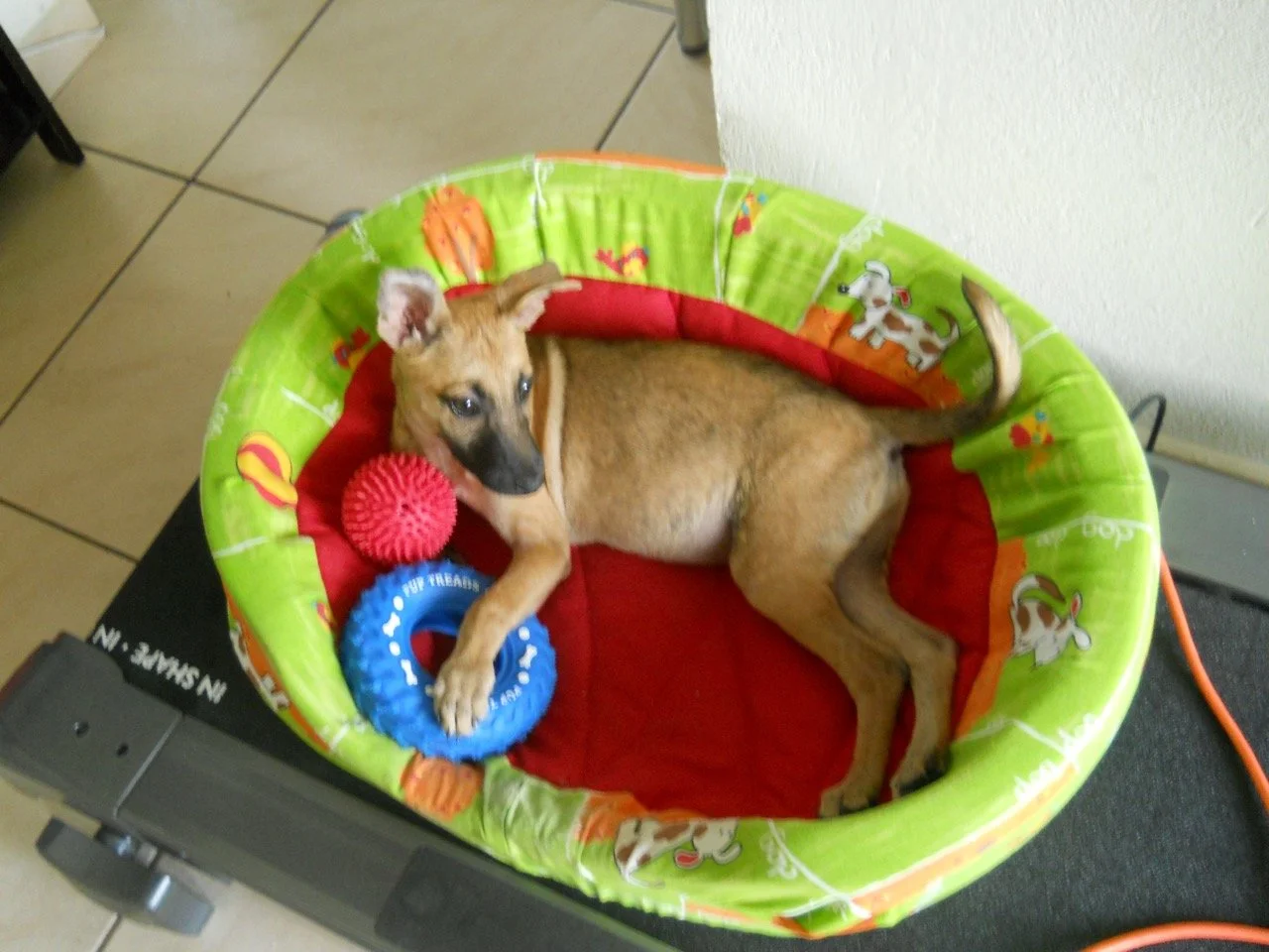 Noviembre, 2011
(San José Villanueva, El Salvador)