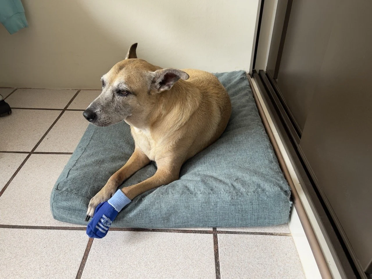 Junio, 2022 (Santa Tecla, El Salvador)