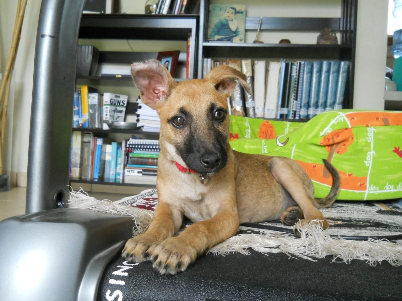 Noviembre, 2011
(San José Villanueva, El Salvador)