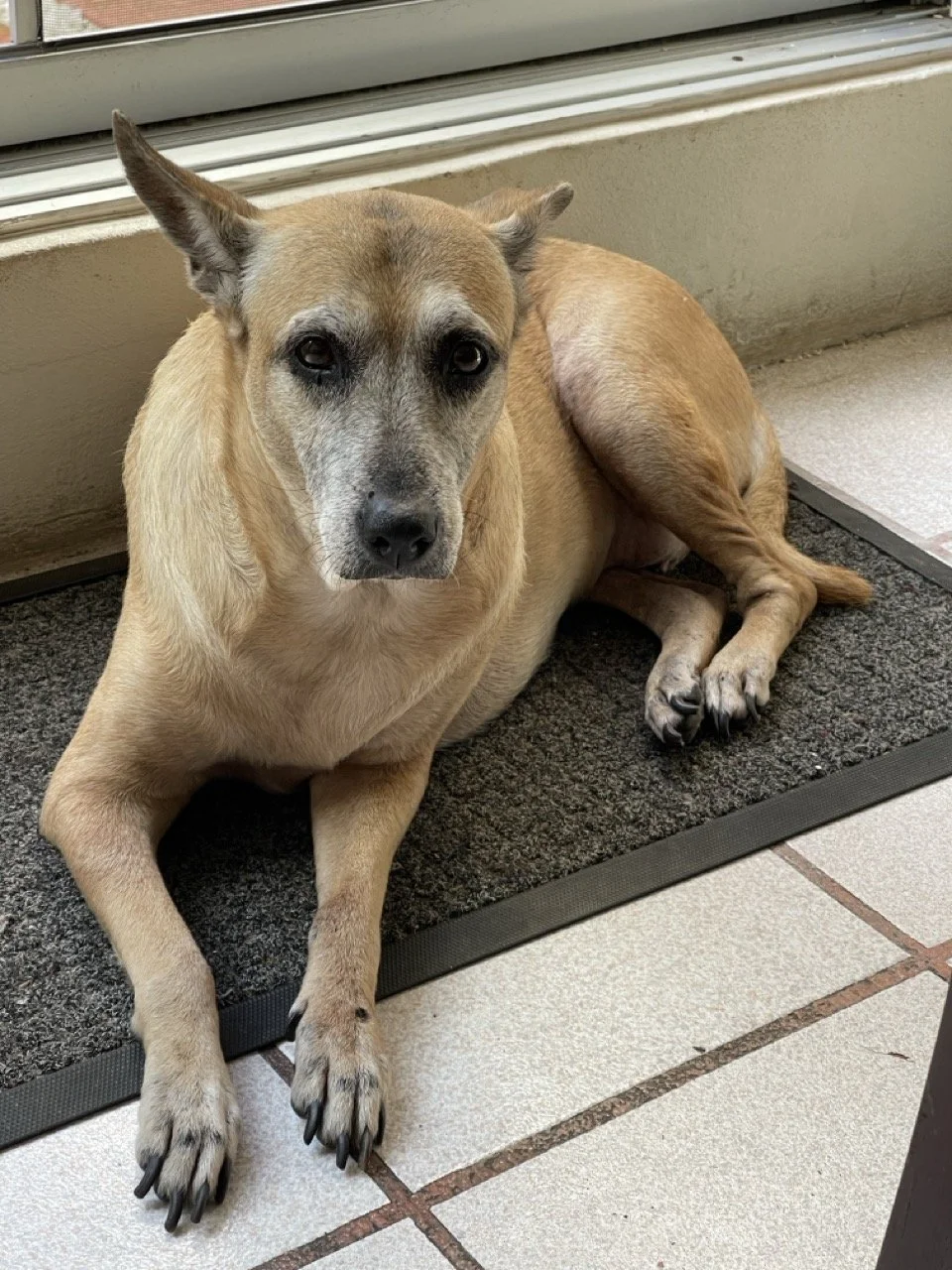 Octubre, 2022 (Santa Tecla, El Salvador)