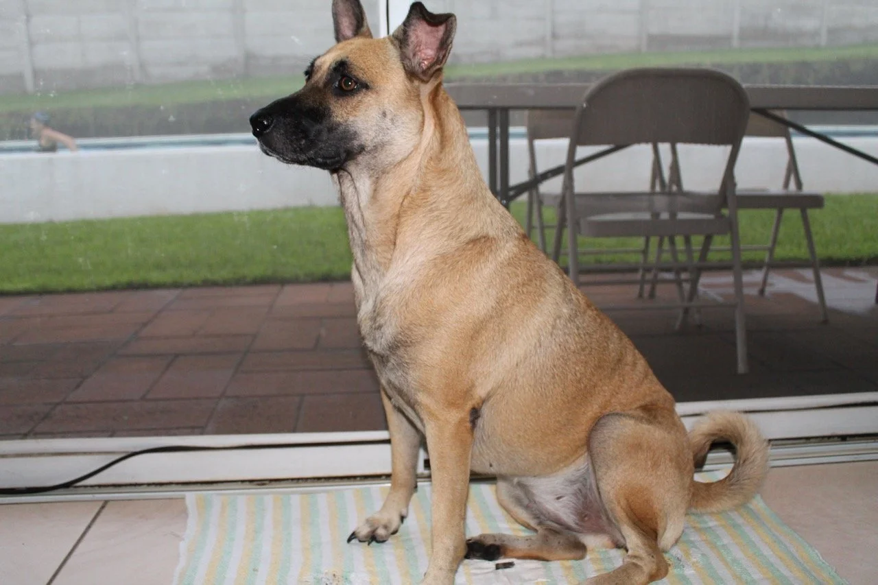 Septiembre, 2013 (San José Villanueva, El Salvador)