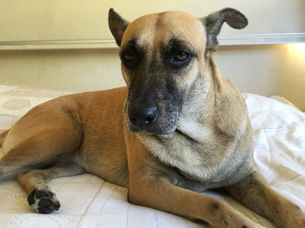 Diciembre, 2015 (San José Villanueva, El Salvador)