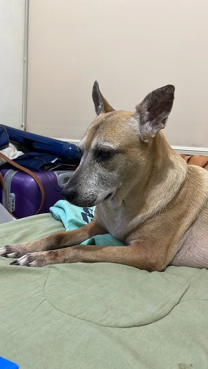 Octubre, 2022 (Santa Tecla, El Salvador)