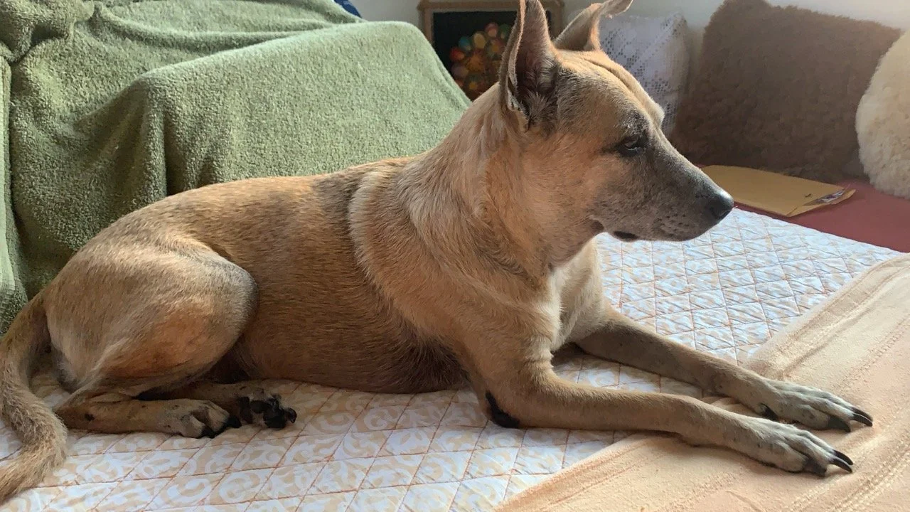 Abril, 2021 (San José Villanueva, El Salvador)