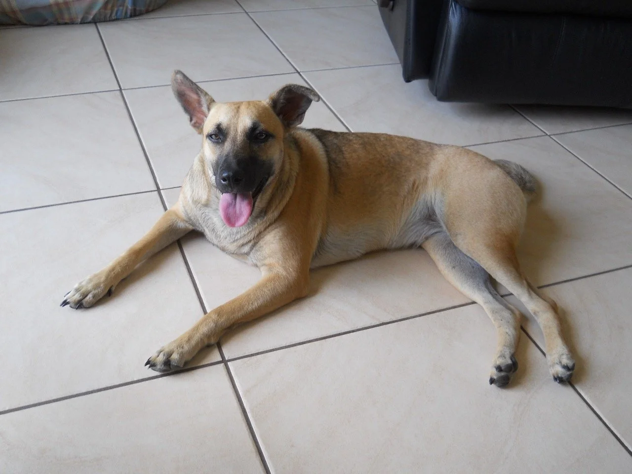 Junio, 2014 (San José Villanueva, El Salvador)