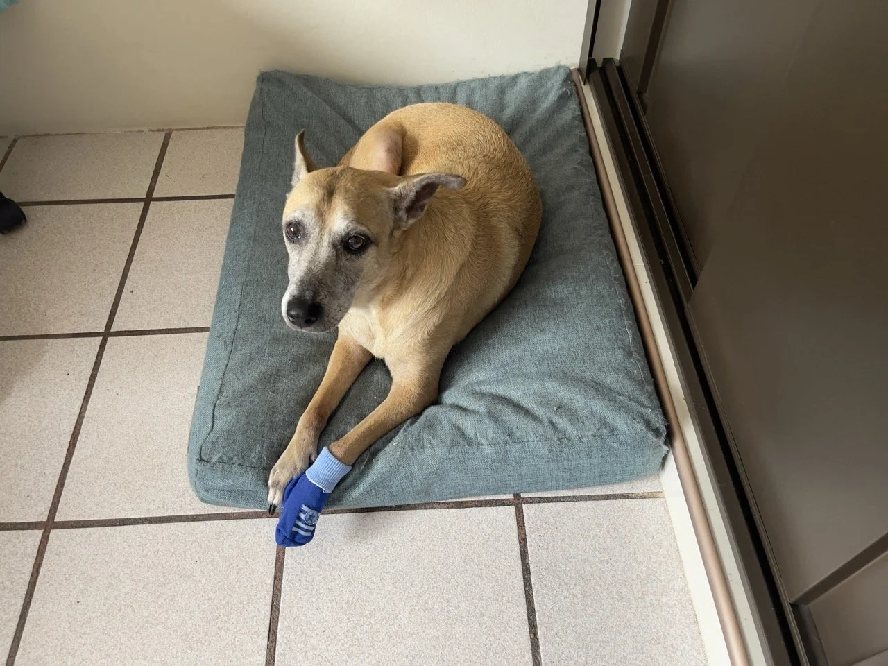 Junio, 2022 (Santa Tecla, El Salvador)