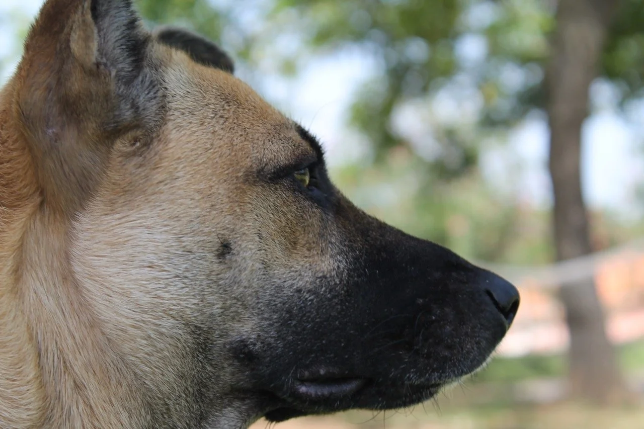 Julio, 2013
(San José Villanueva, El Salvador)